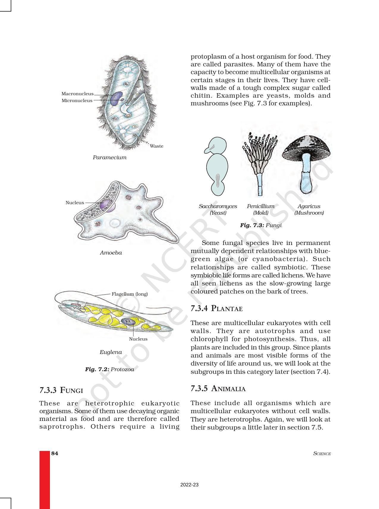 NCERT Book For Class 9 Science Chapter 7 Diversity In Living