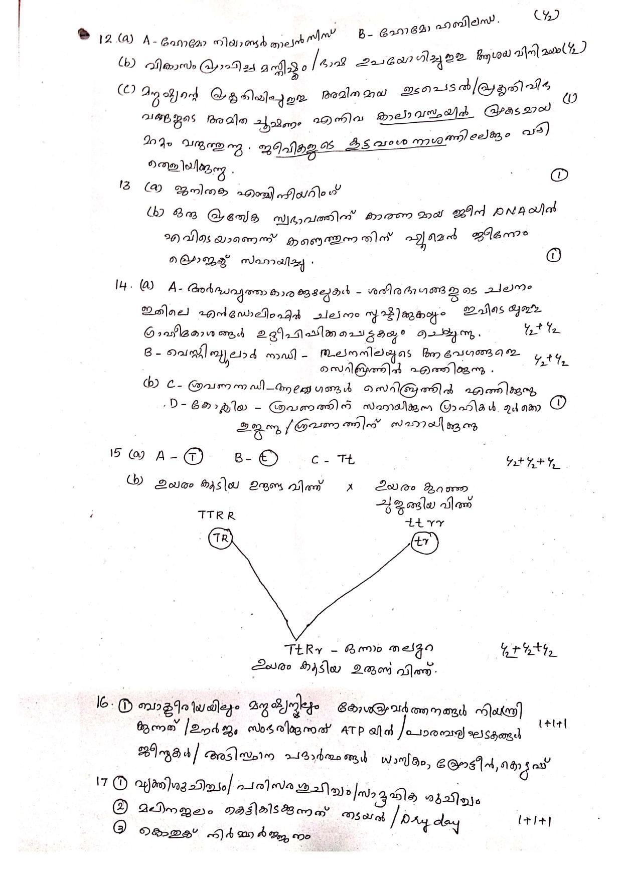 Kerala SSLC 2019  Biology Answer Key (MM) (Model) - Page 2