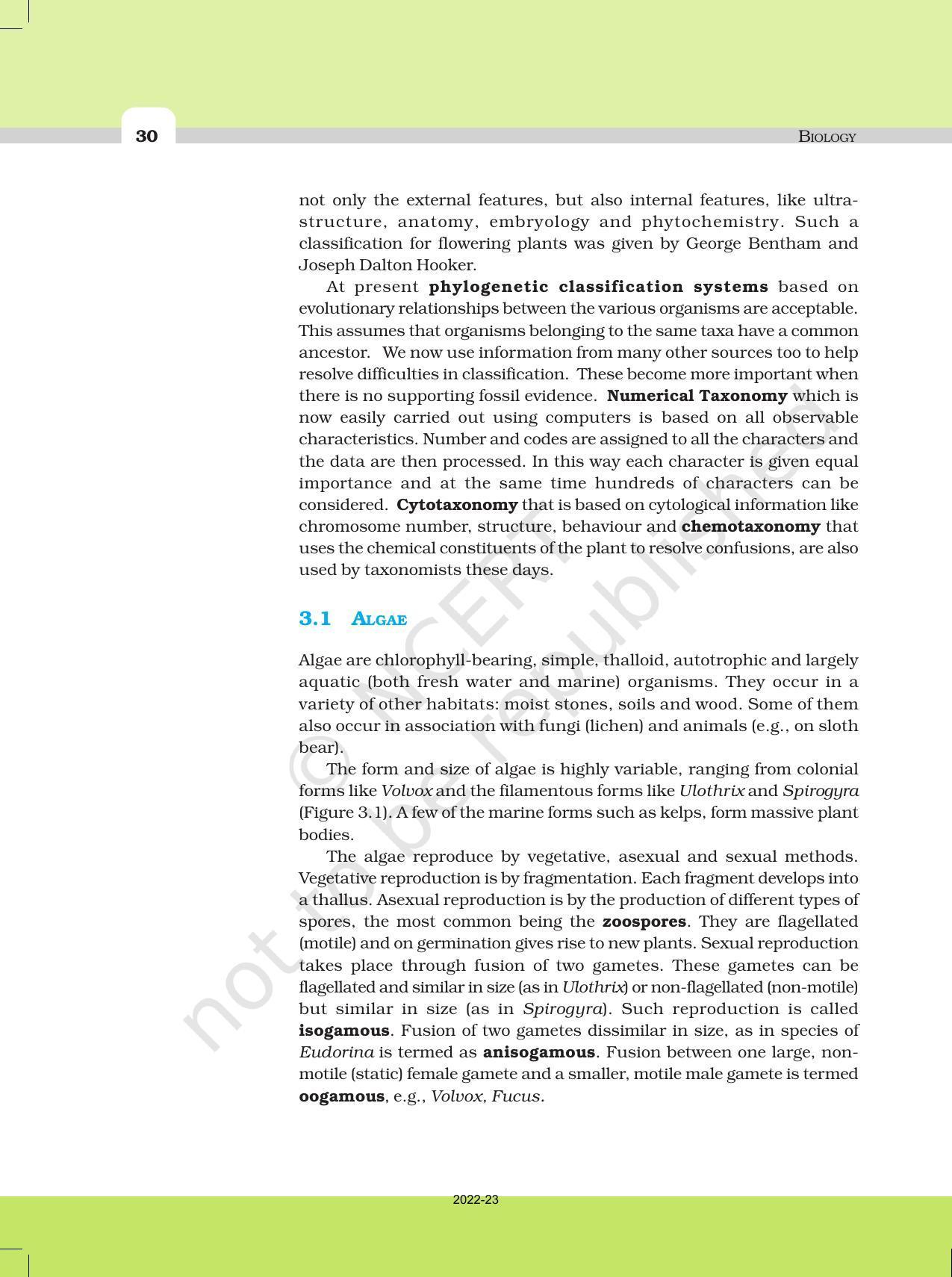 NCERT Book For Class 11 Biology Chapter 3 Plant Kingdom