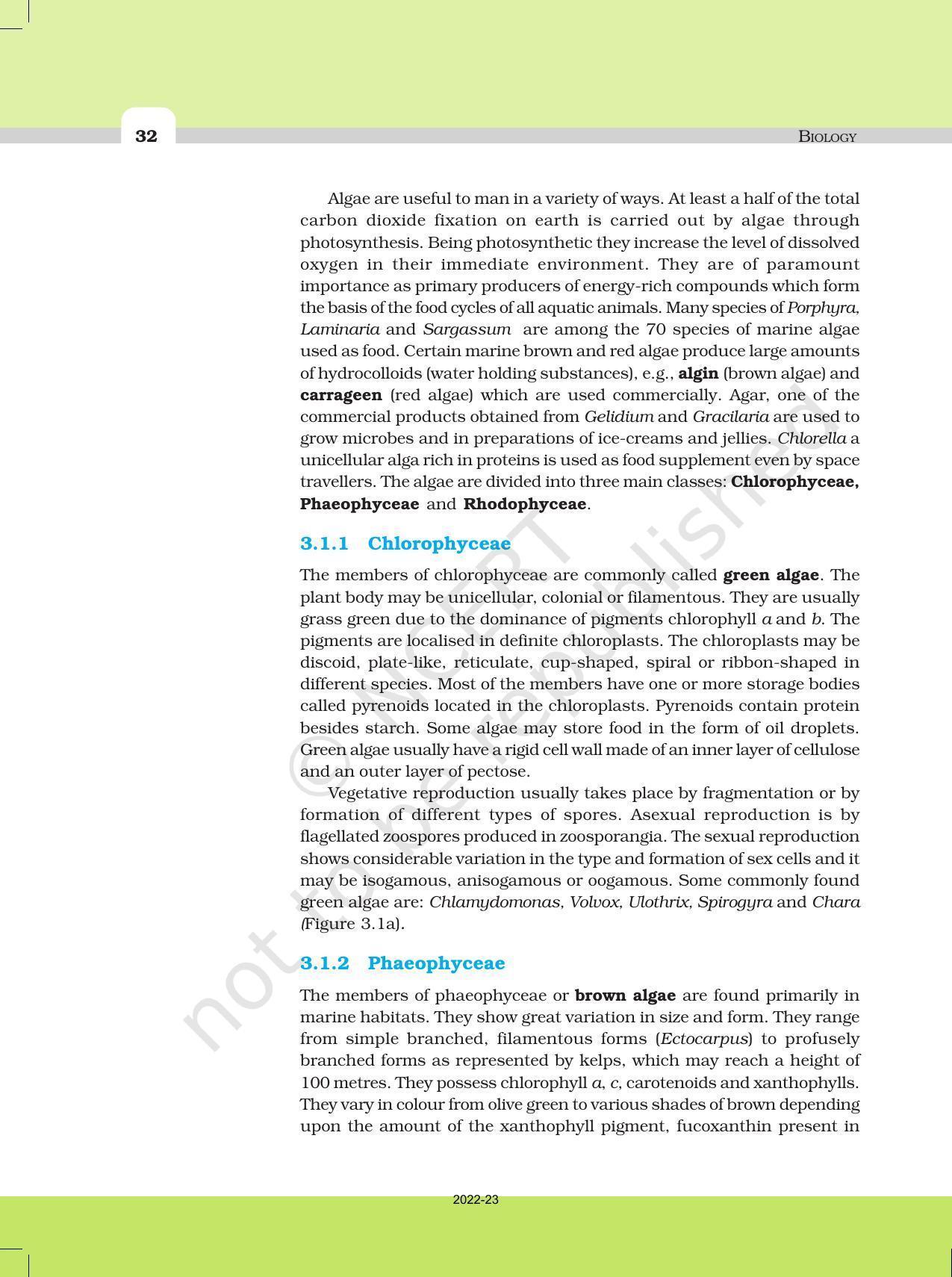 NCERT Book For Class 11 Biology Chapter 3 Plant Kingdom