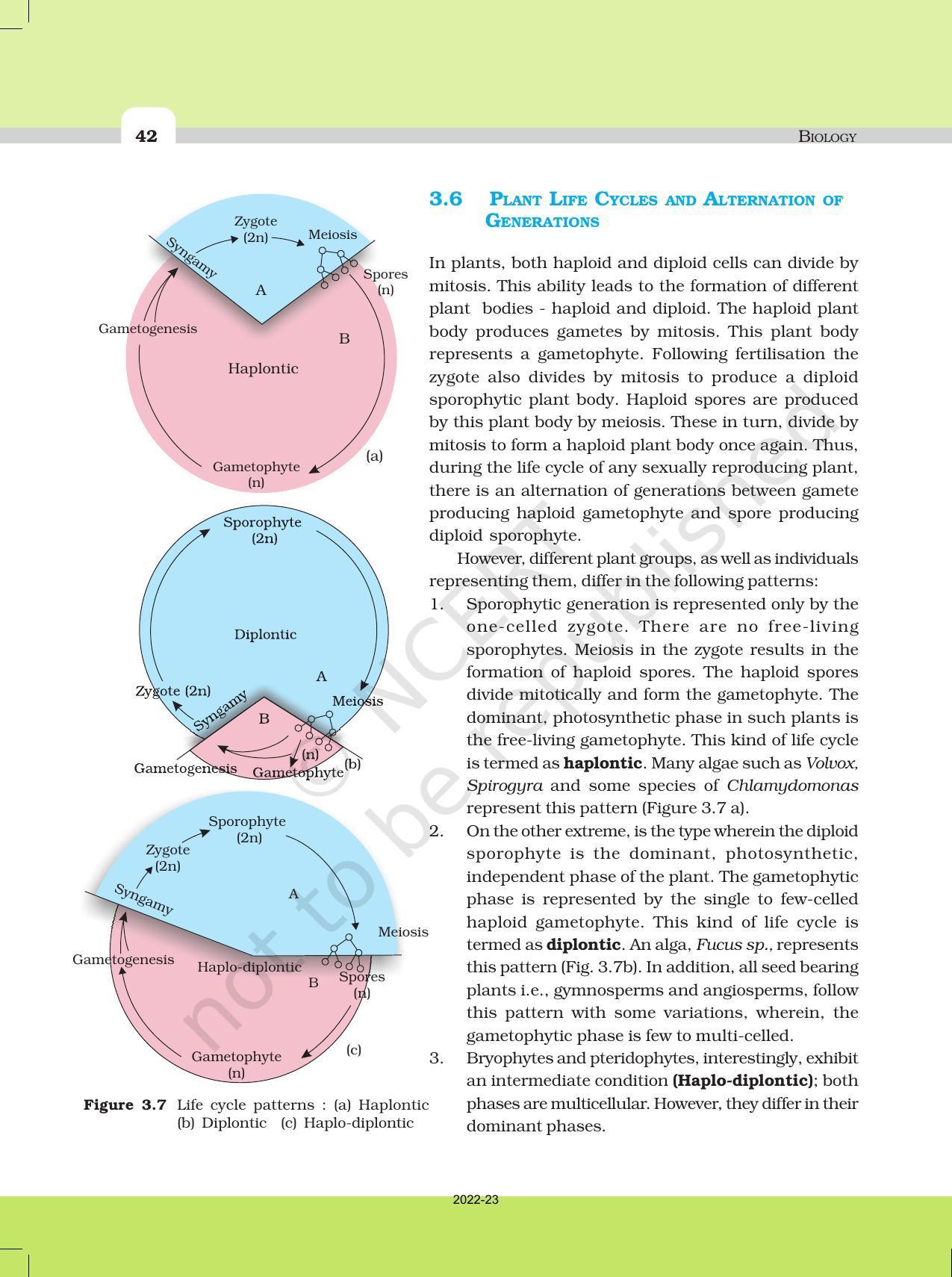 NCERT Book For Class 11 Biology Chapter 3 Plant Kingdom