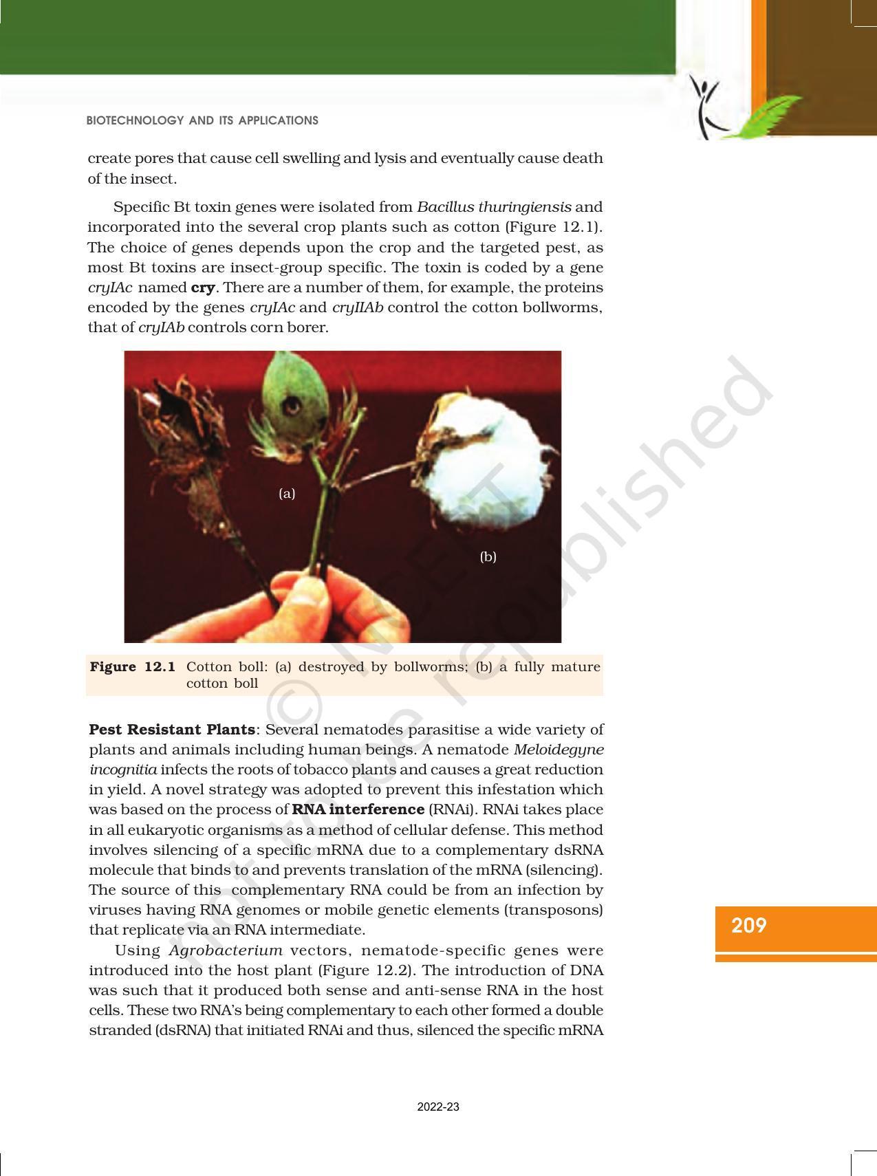NCERT Book for Class 12 Biology Chapter 12 Biotechnology: and its Application - Page 3