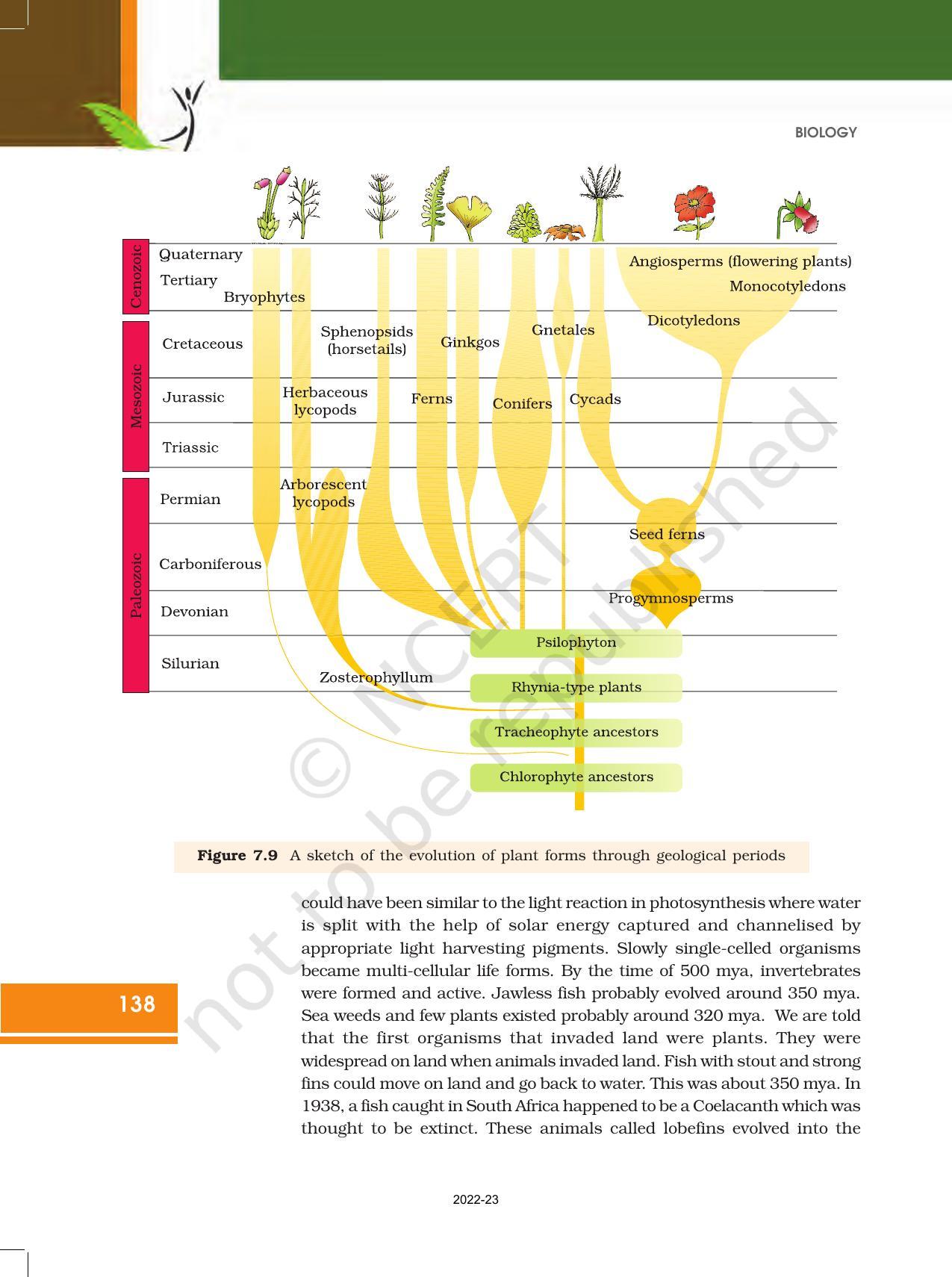 NCERT Book For Class 12 Biology Chapter 7 Evolution - IndCareer Docs