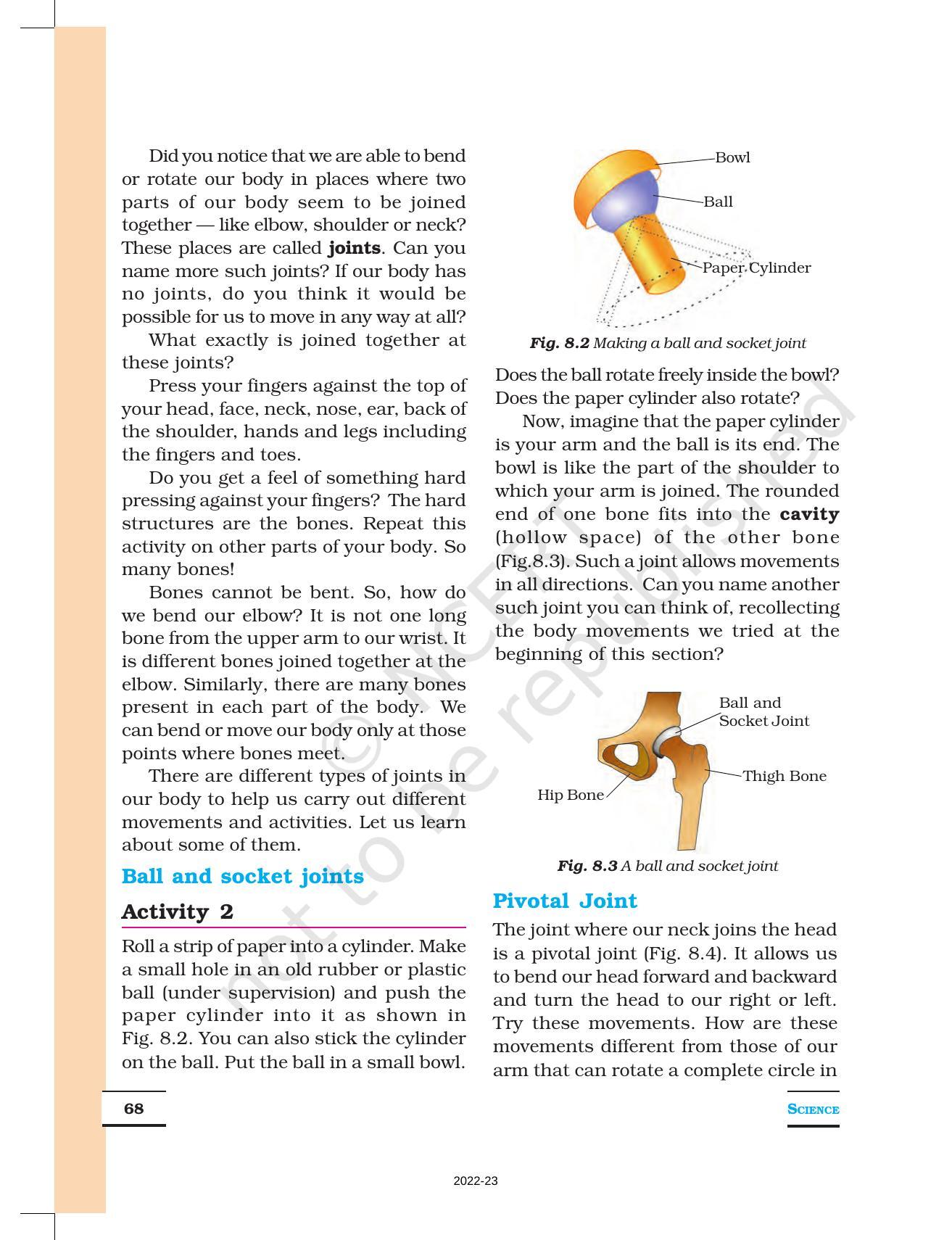 Ncert Book For Class 6 Science Chapter 8 Body Movement Indcareer Schools