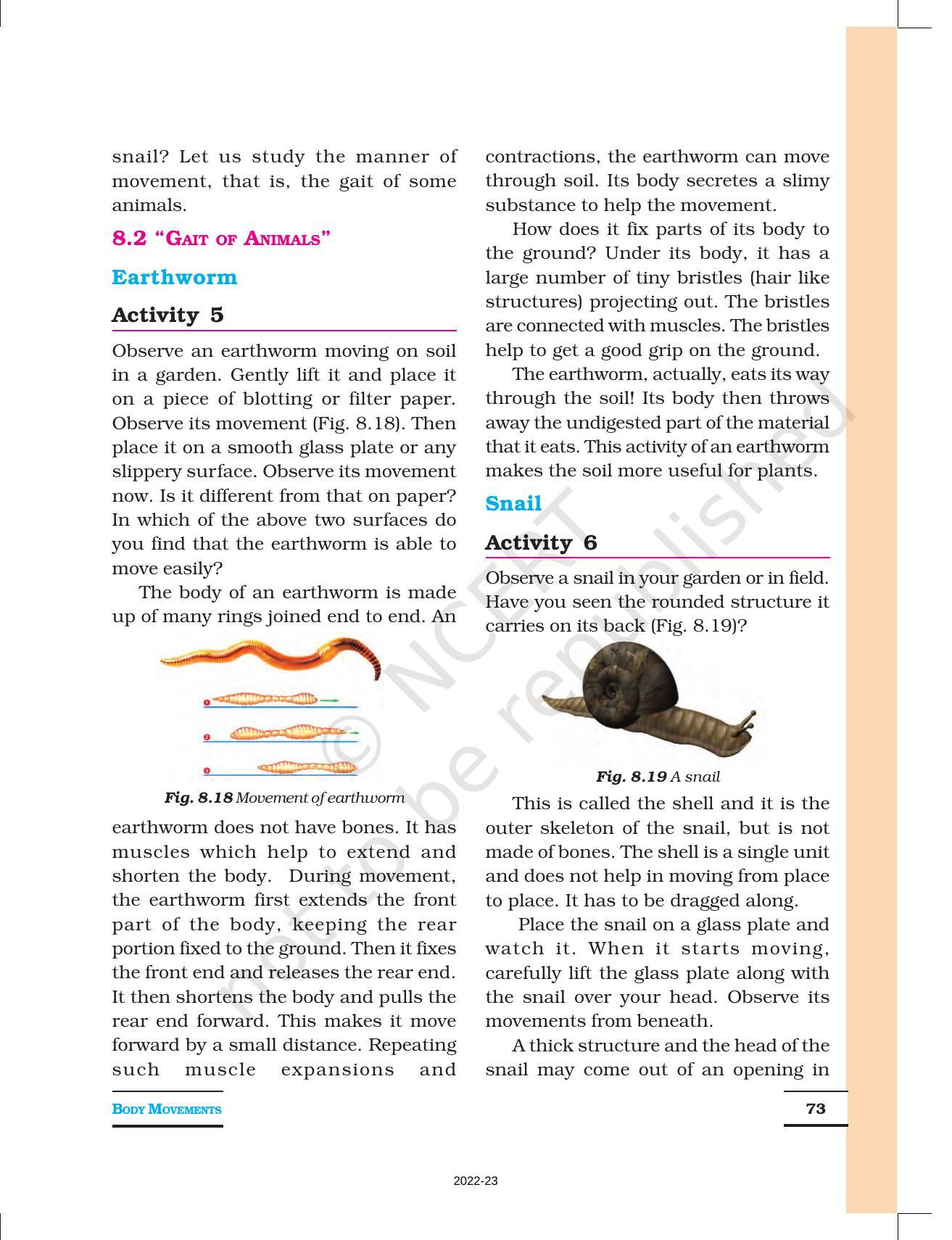 NCERT Book For Class 6 Science: Chapter 8-Body Movement - IndCareer Schools