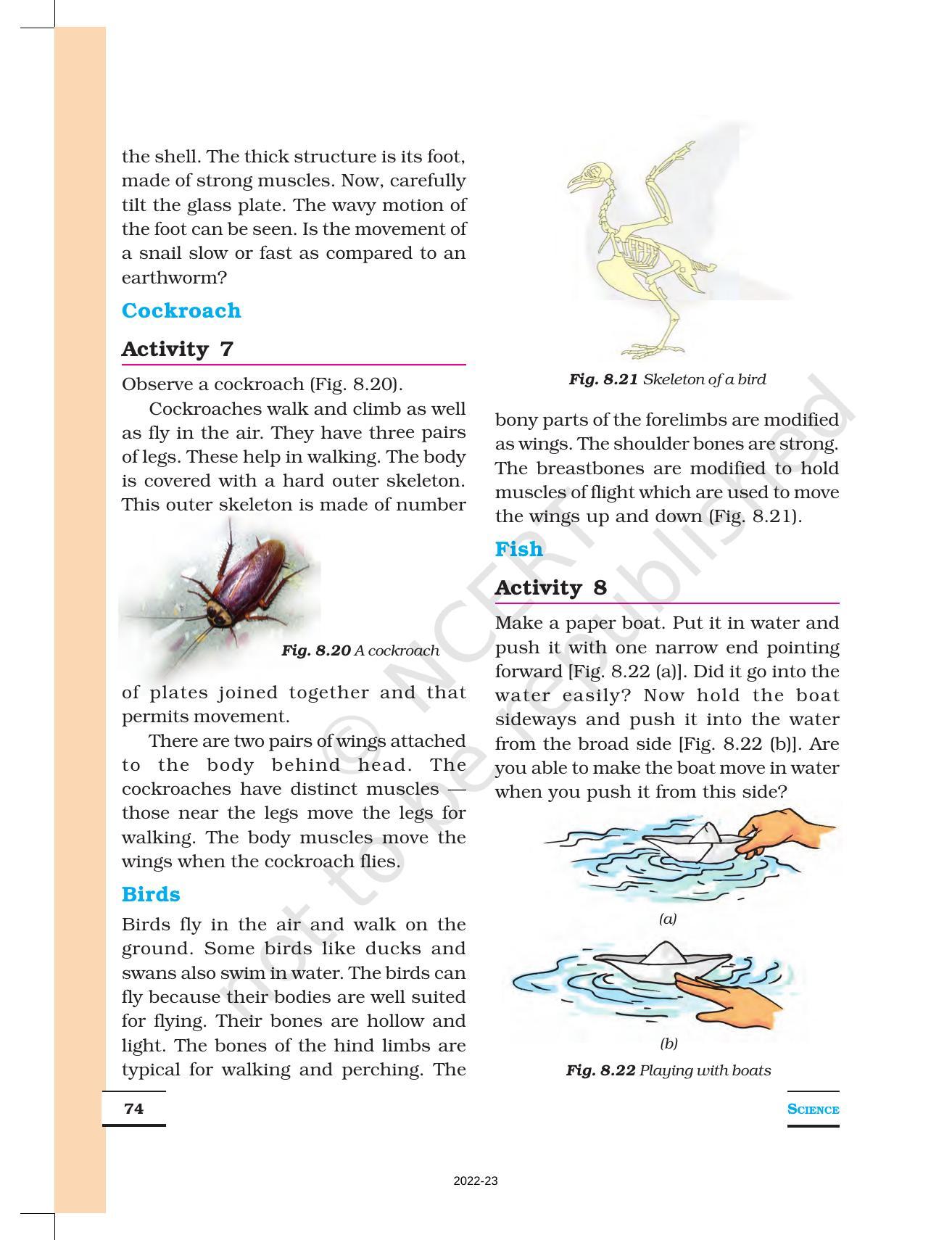 NCERT Book For Class 6 Science: Chapter 8-Body Movement - IndCareer Schools