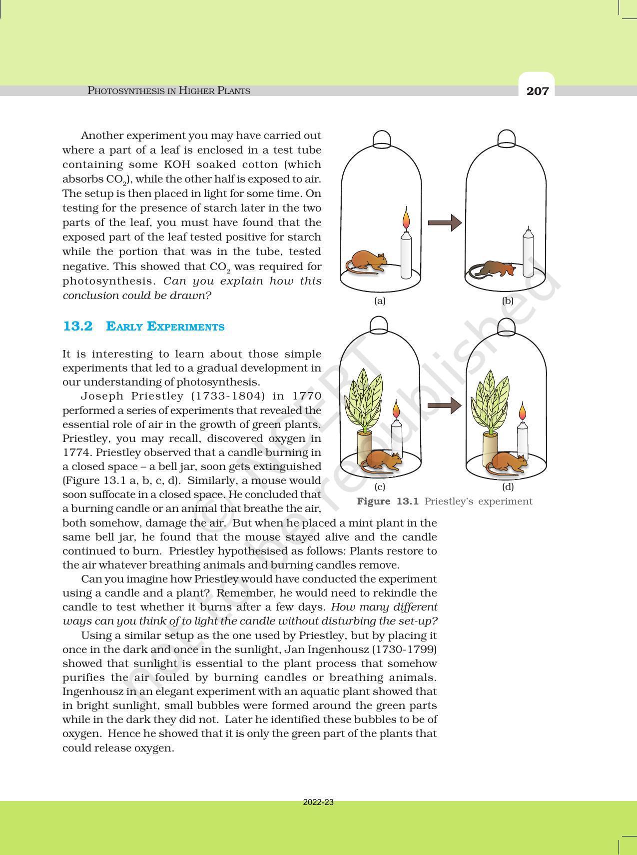 NCERT Book For Class 11 Biology Chapter 13 Photosynthesis