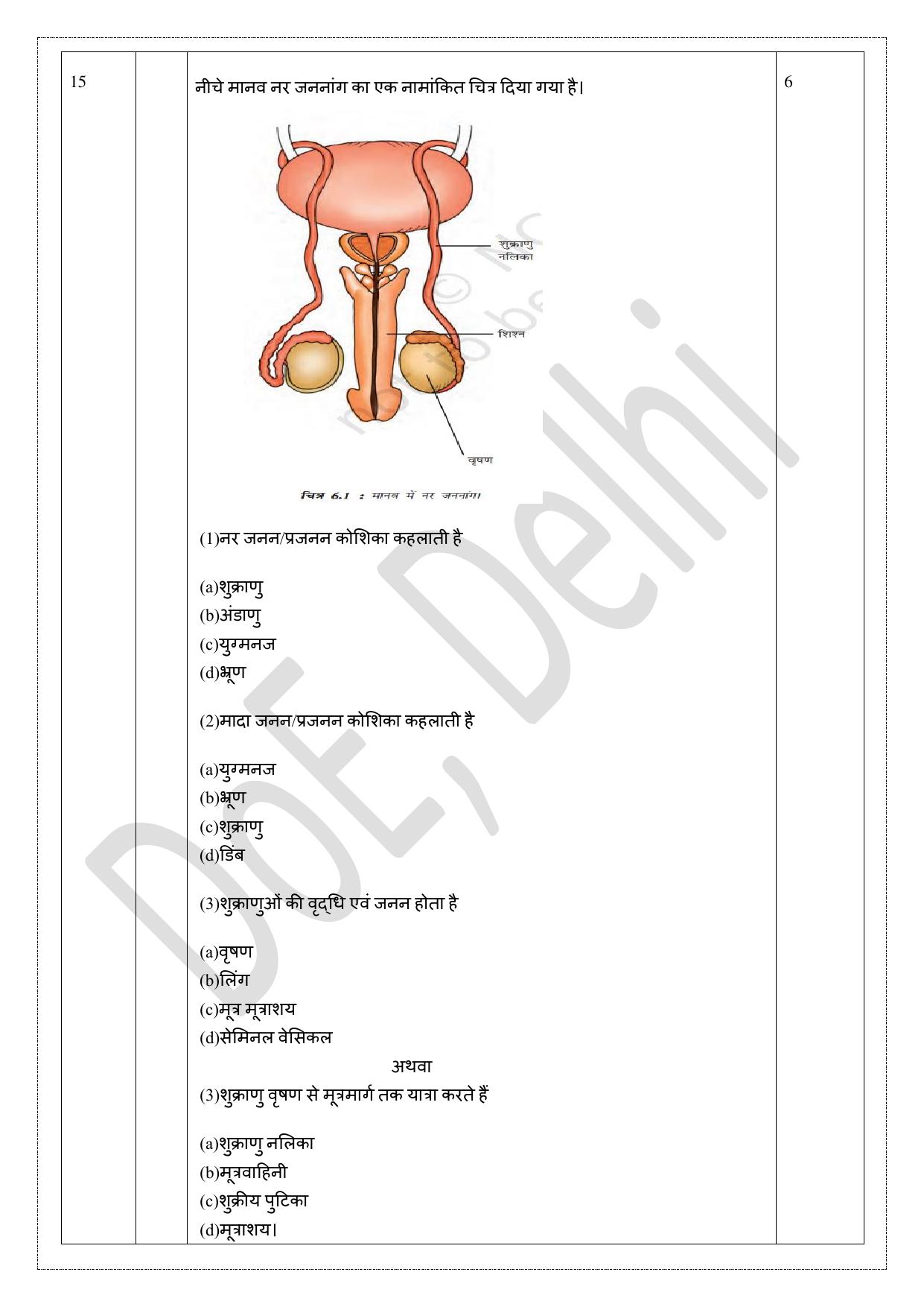 Edudel Class 8 Science (Hindi) Practice Papers-1 (2023-24) - Page 8