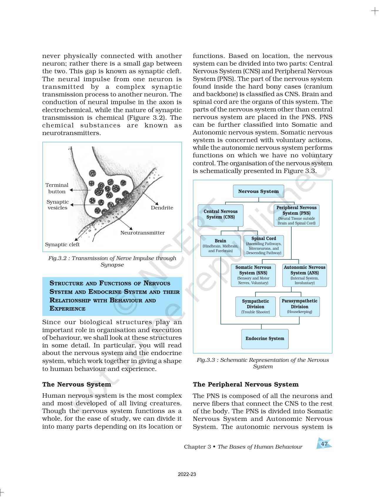 NCERT Book For Class 11 Psychology Chapter 3 The Bases