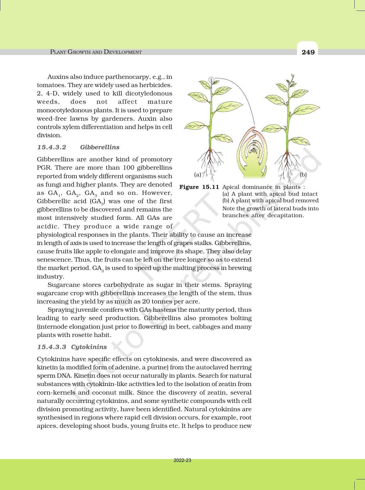 NCERT Book For Class 11 Biology Chapter 15 Plant Growth