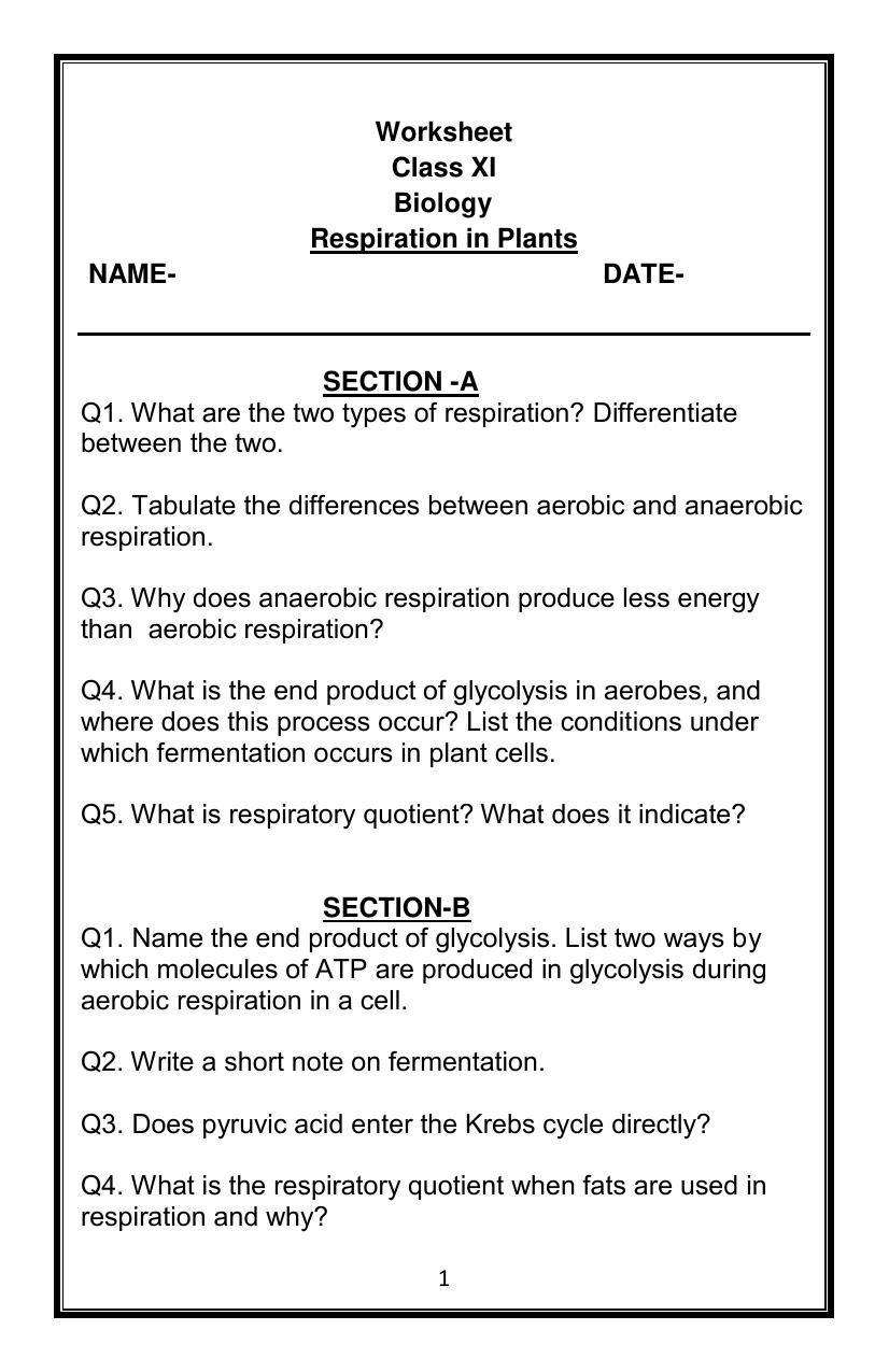 CBSE Worksheets for Class 11 Biology Respiration in Plants Assignment - Page 1