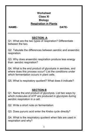 CBSE Worksheets for Class 11 Biology Respiration in Plants Assignment