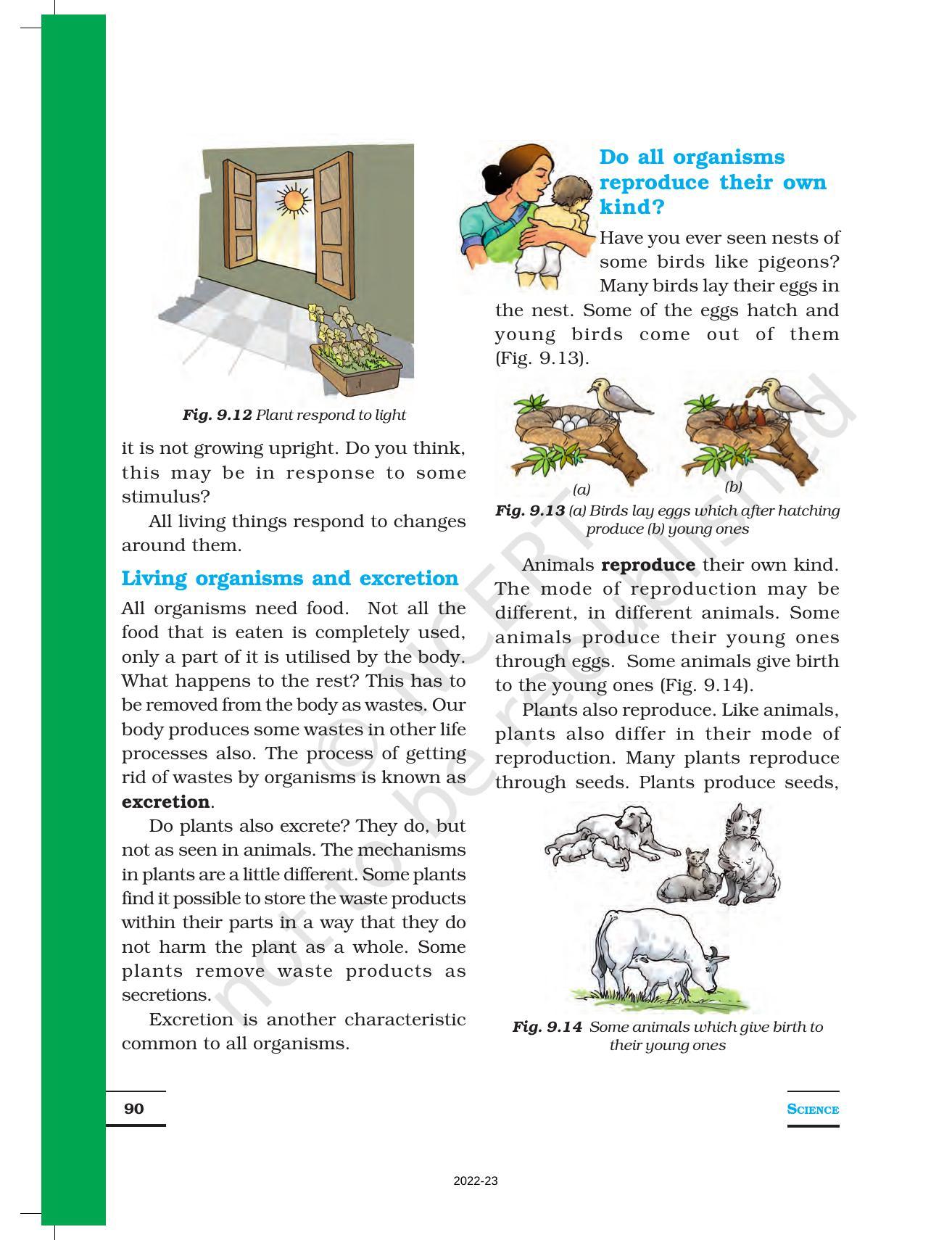 NCERT Book For Class 6 Science: Chapter 9-The Living Organisms And ...