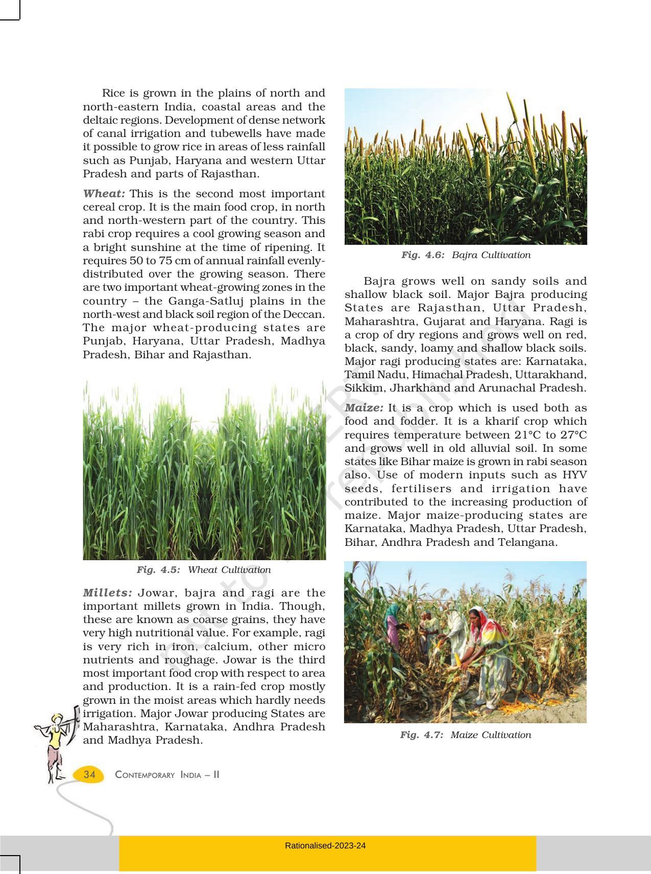 NCERT Book for Class 10 Geography Chapter 4 Agriculture - Page 5