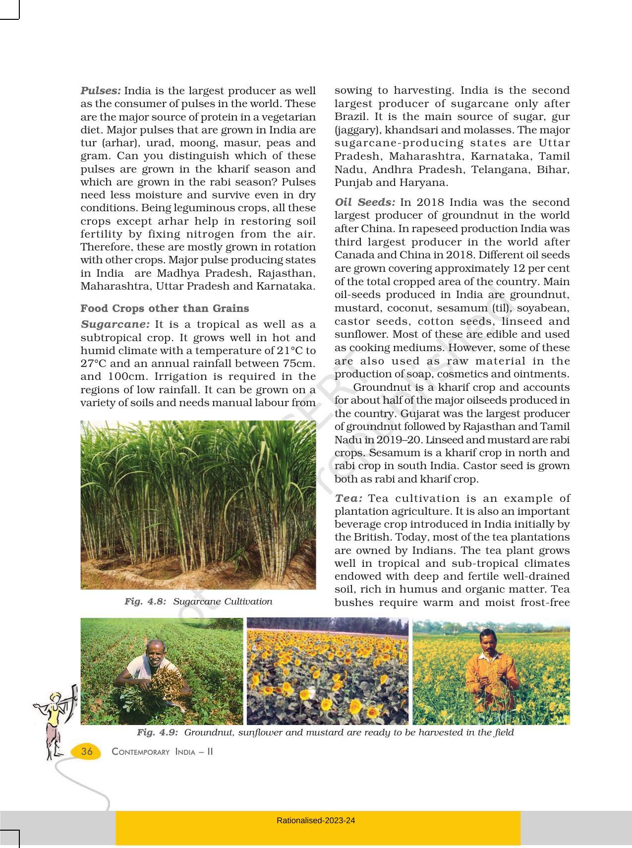 NCERT Book for Class 10 Geography Chapter 4 Agriculture - Page 7