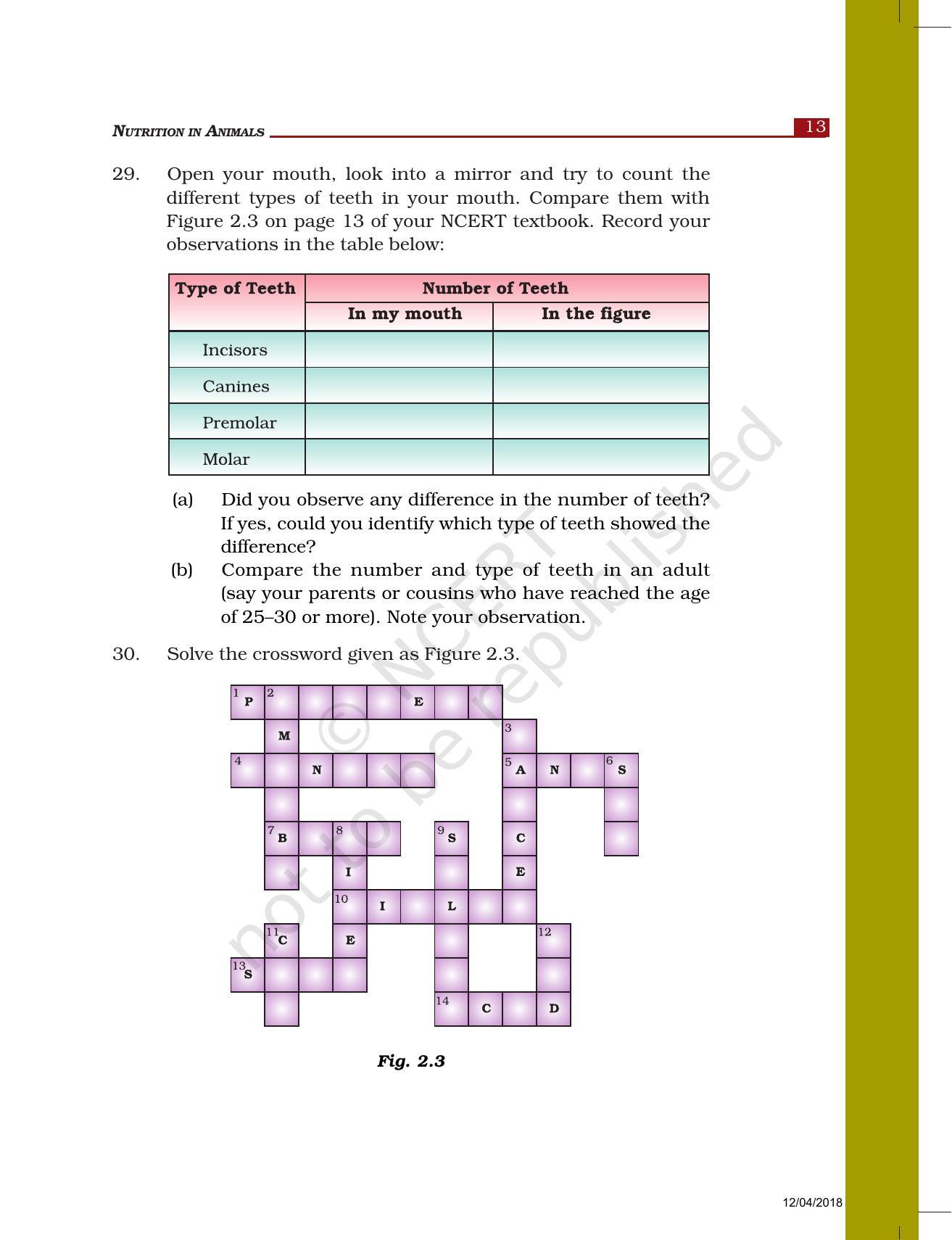 NCERT Exemplar Book for Class 7 Science: Chapter 2-Nutrition in Animals - Page 8