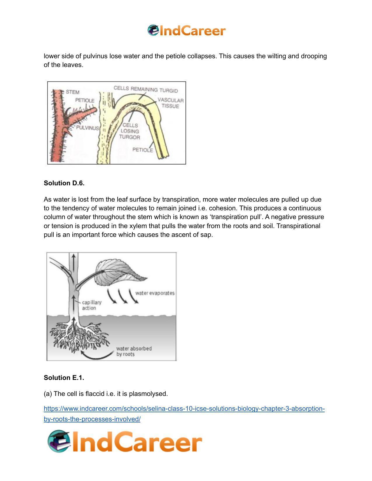 Selina Class 10 ICSE Solutions Biology : Chapter 3- Absorption By Roots ...