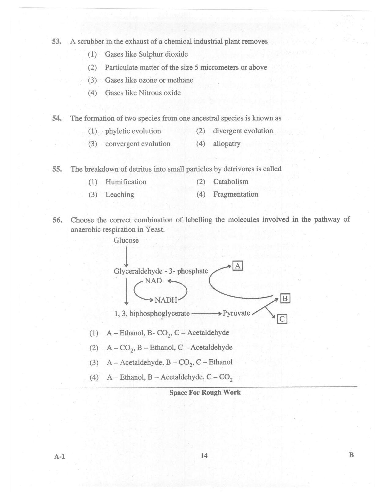 KCET Biology 2015 Question Papers - Page 14