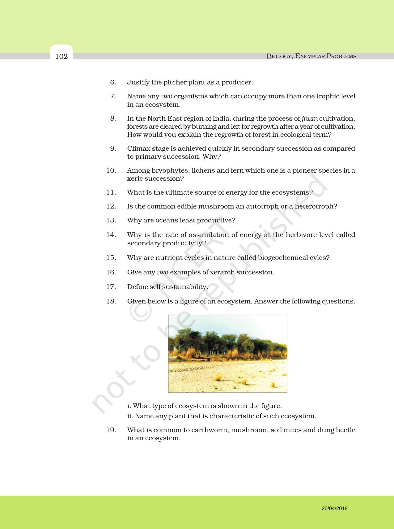 NCERT Exemplar Book For Class 12 Biology Chapter 14 Ecosystem