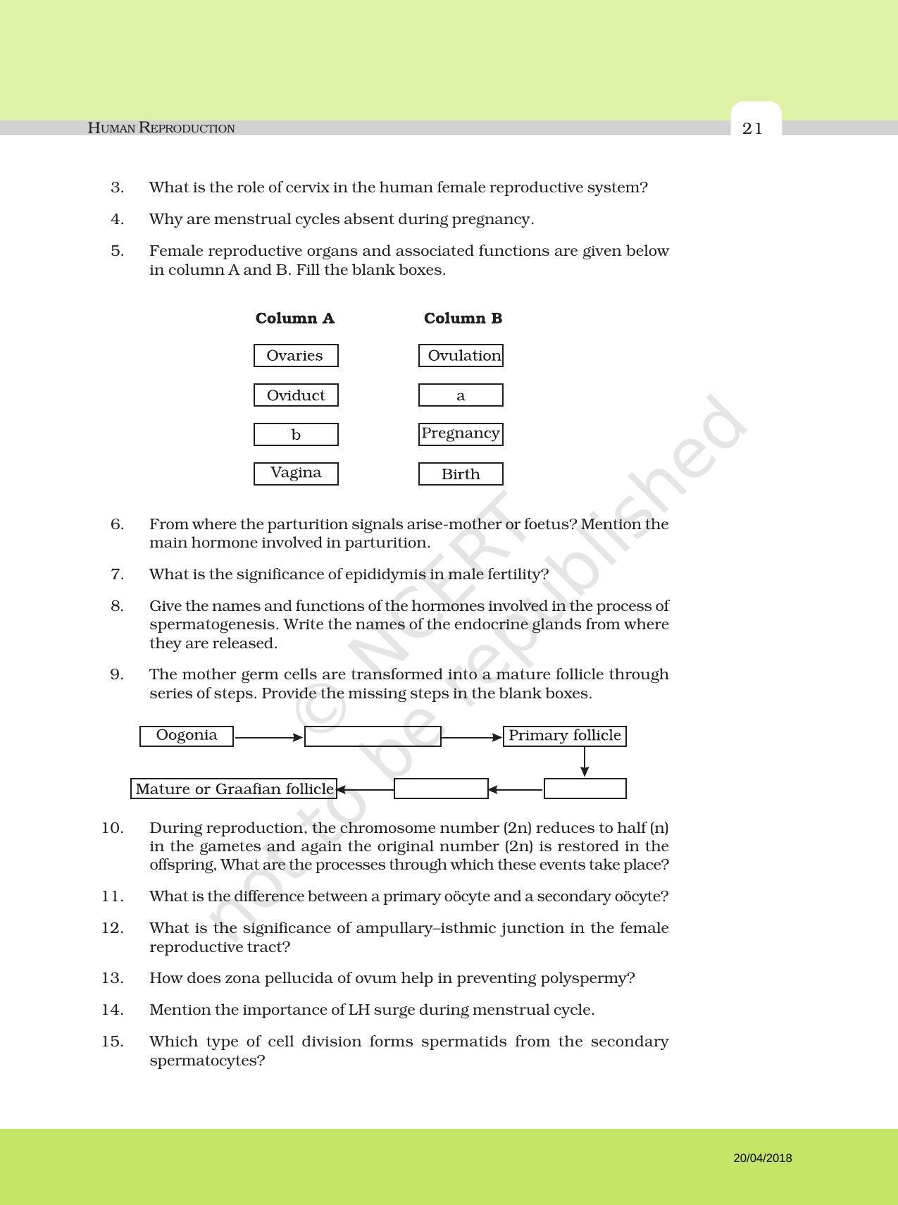 NCERT Exemplar Book For Class 12 Biology Chapter 3 Human Reproduction