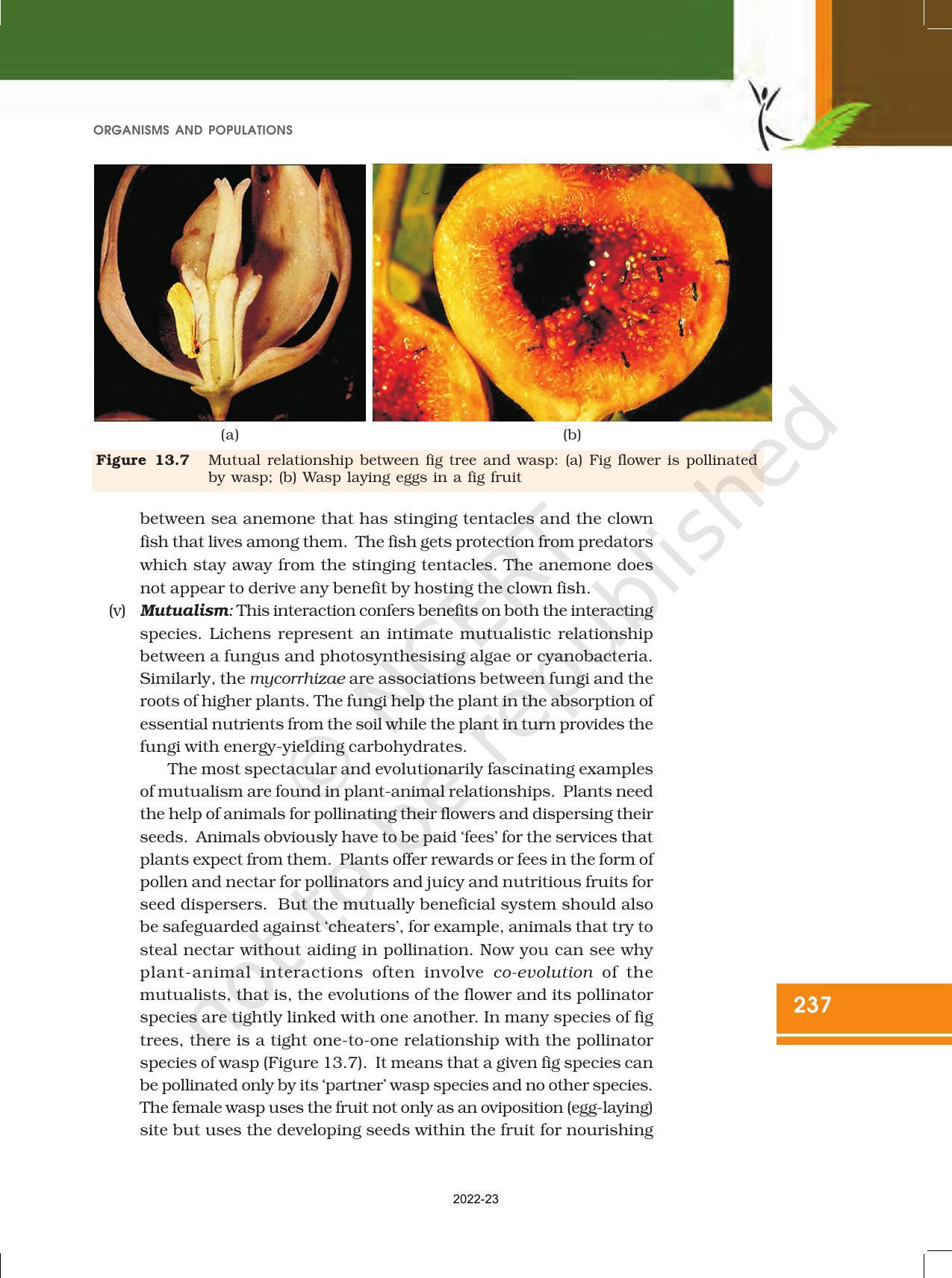 NCERT Book for Class 12 Biology Chapter 13 Organisms and Populations - Page 21