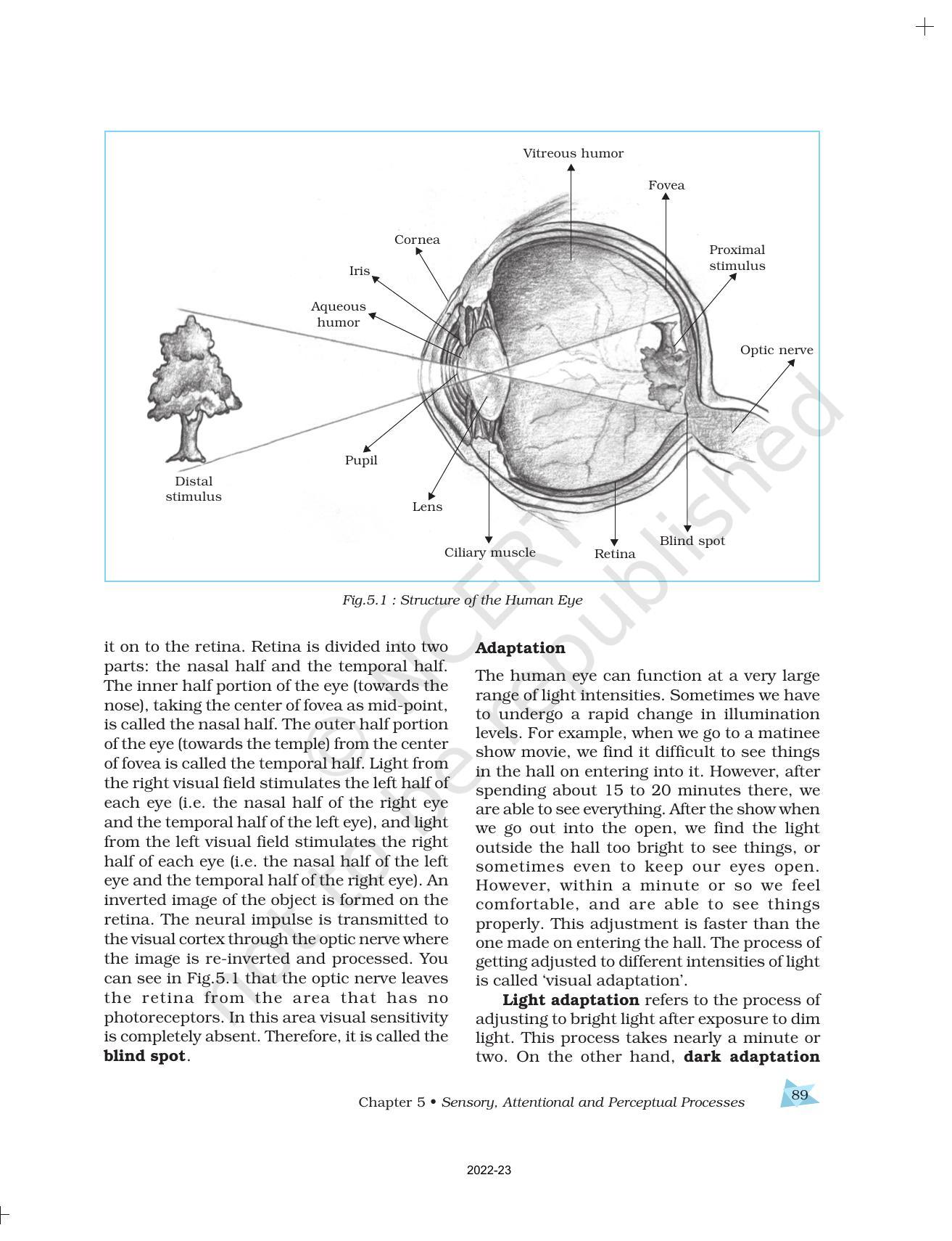 ncert-book-for-class-11-psychology-chapter-5-sensory-attentional-and