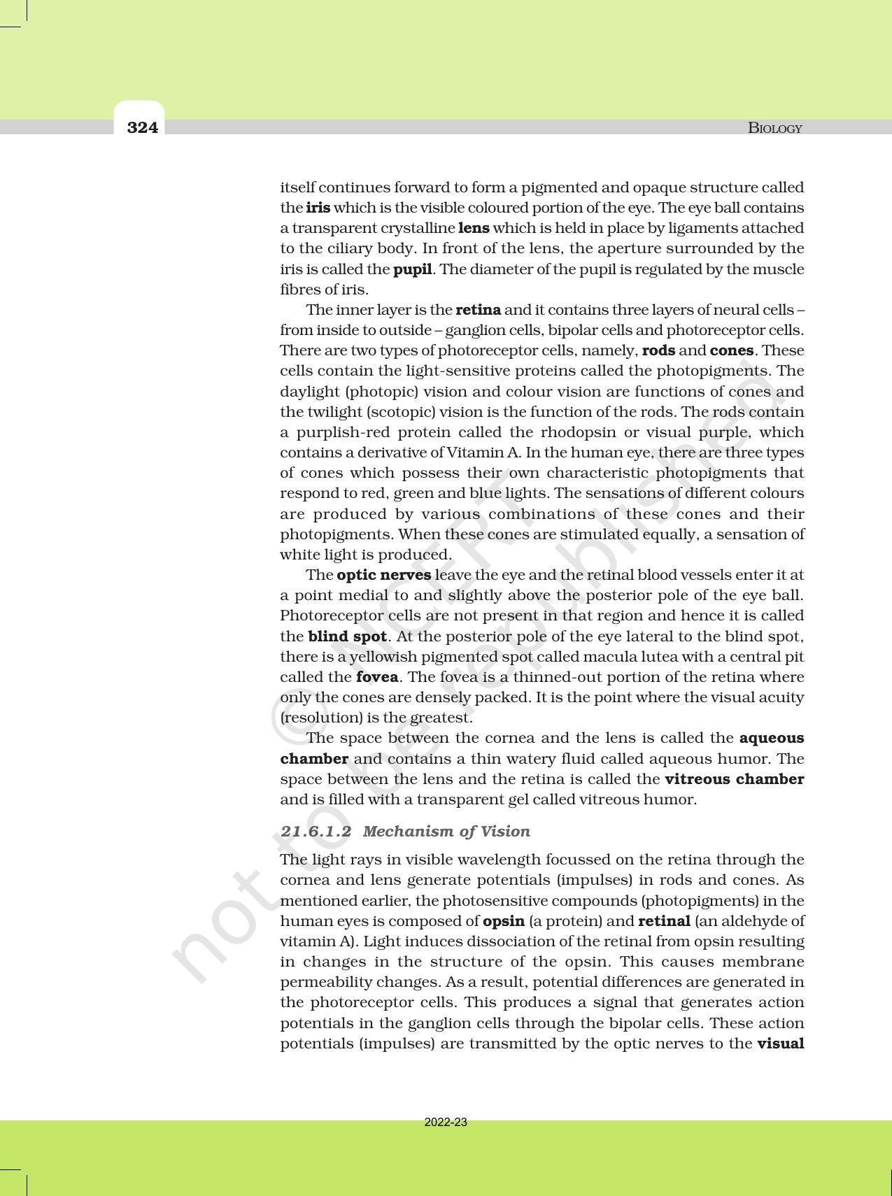 NCERT Book For Class 11 Biology Chapter 21 Neural Control