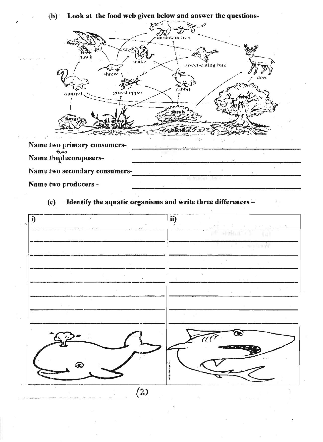 Worksheet for Class 5 Environmental Studies Assignment 3 - Page 2