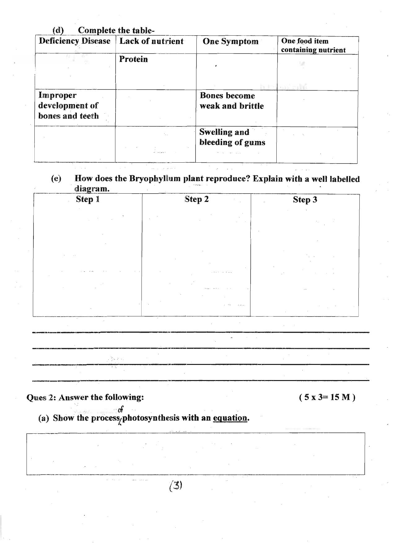 Worksheet for Class 5 Environmental Studies Assignment 3 - Page 3