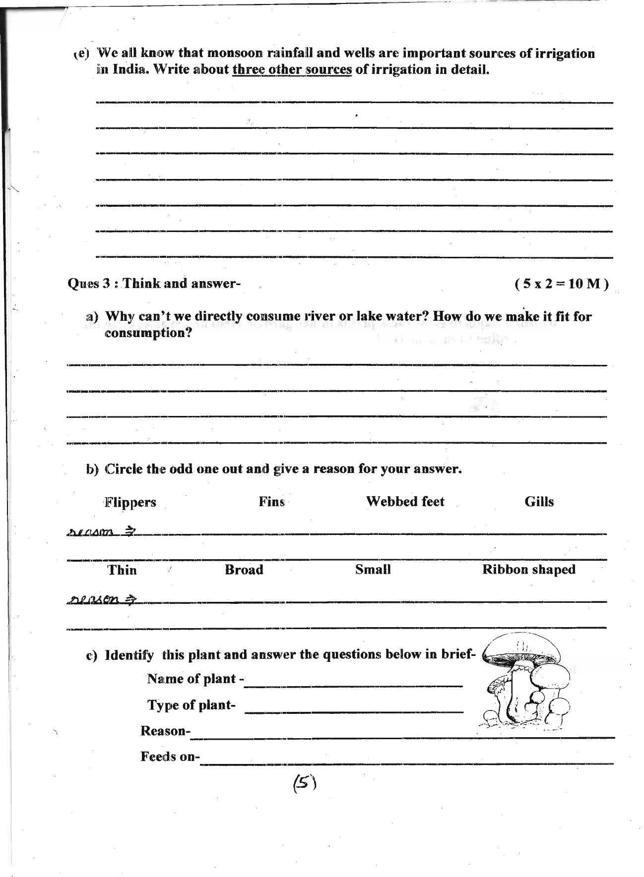 Worksheet for Class 5 Environmental Studies Assignment 3 - Page 5