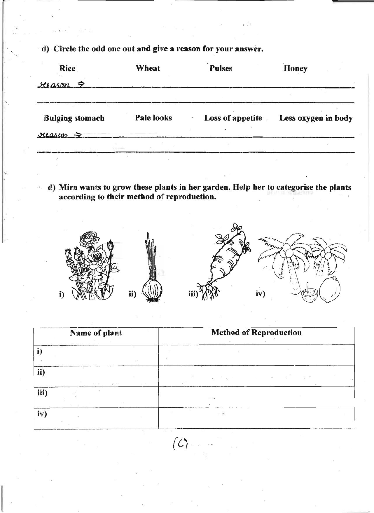 Worksheet for Class 5 Environmental Studies Assignment 3 - Page 6