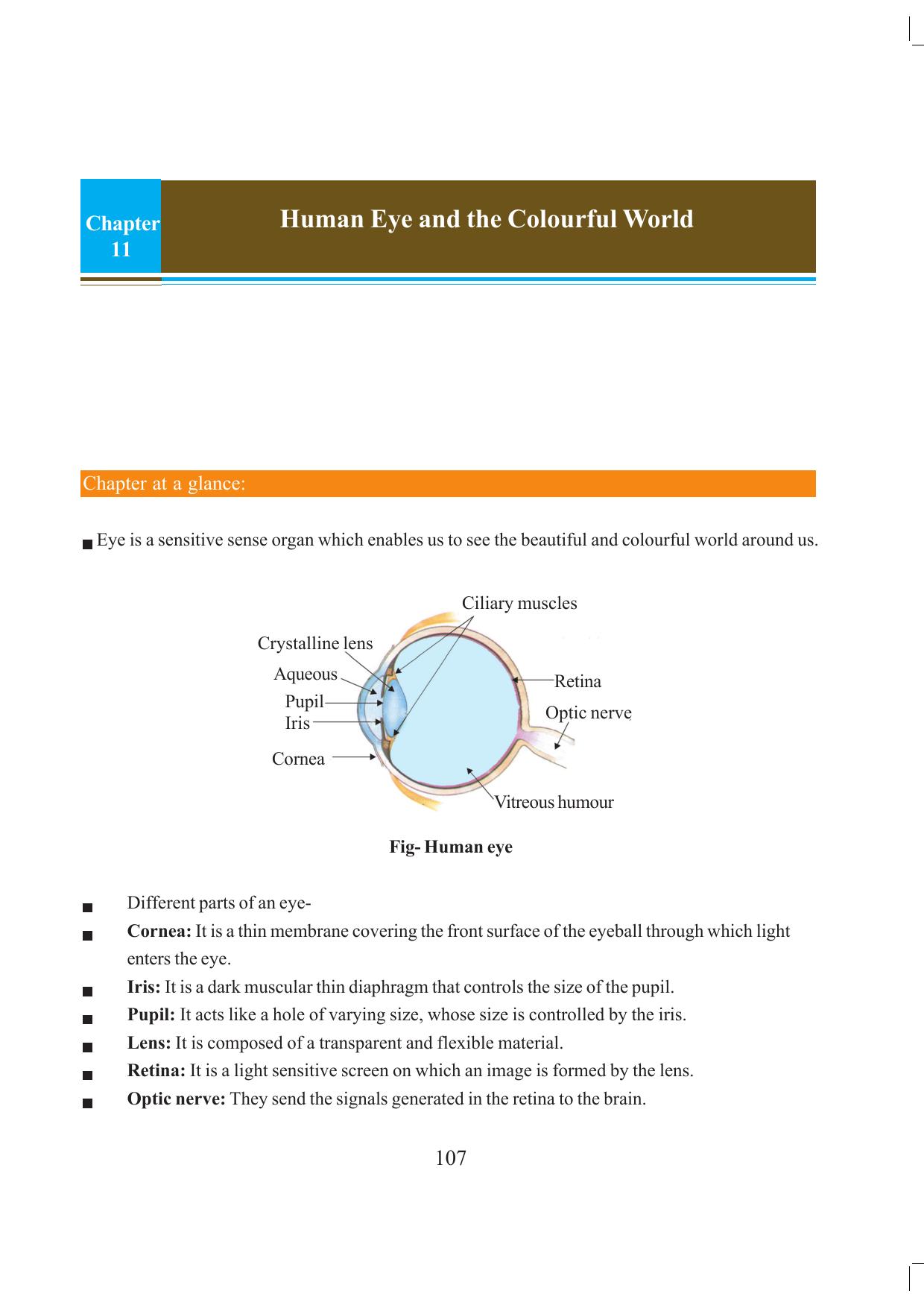 Tripura Board Class 10 Science English Version Workbooks - Page 113