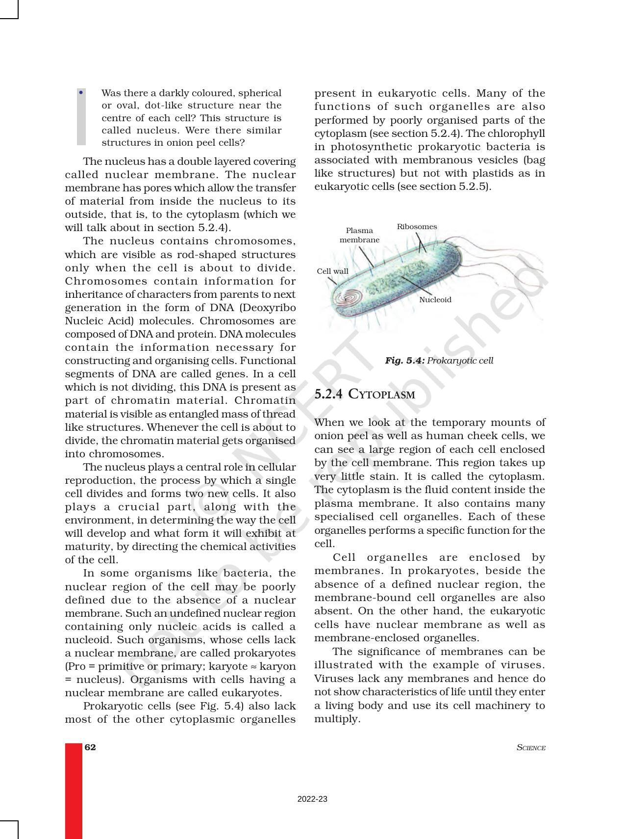 NCERT Book for Class 9 Science Chapter 5 The Fundamental Unit Of Life - Page 6