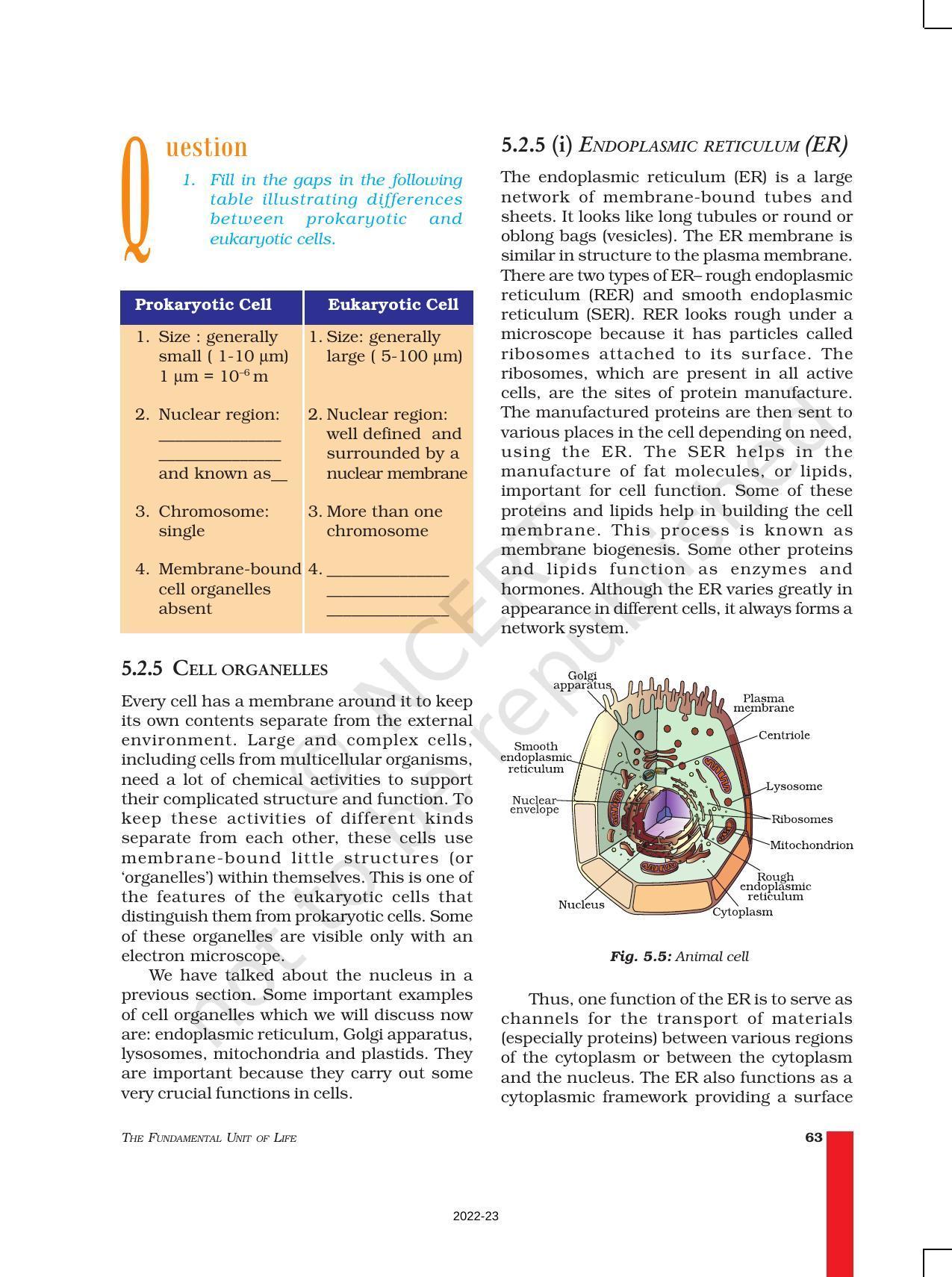 NCERT Book for Class 9 Science Chapter 5 The Fundamental Unit Of Life - Page 7