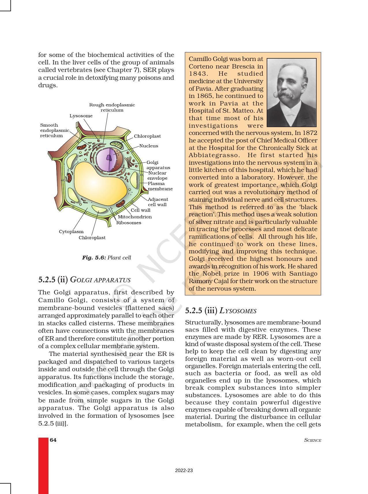 NCERT Book for Class 9 Science Chapter 5 The Fundamental Unit Of Life - Page 8