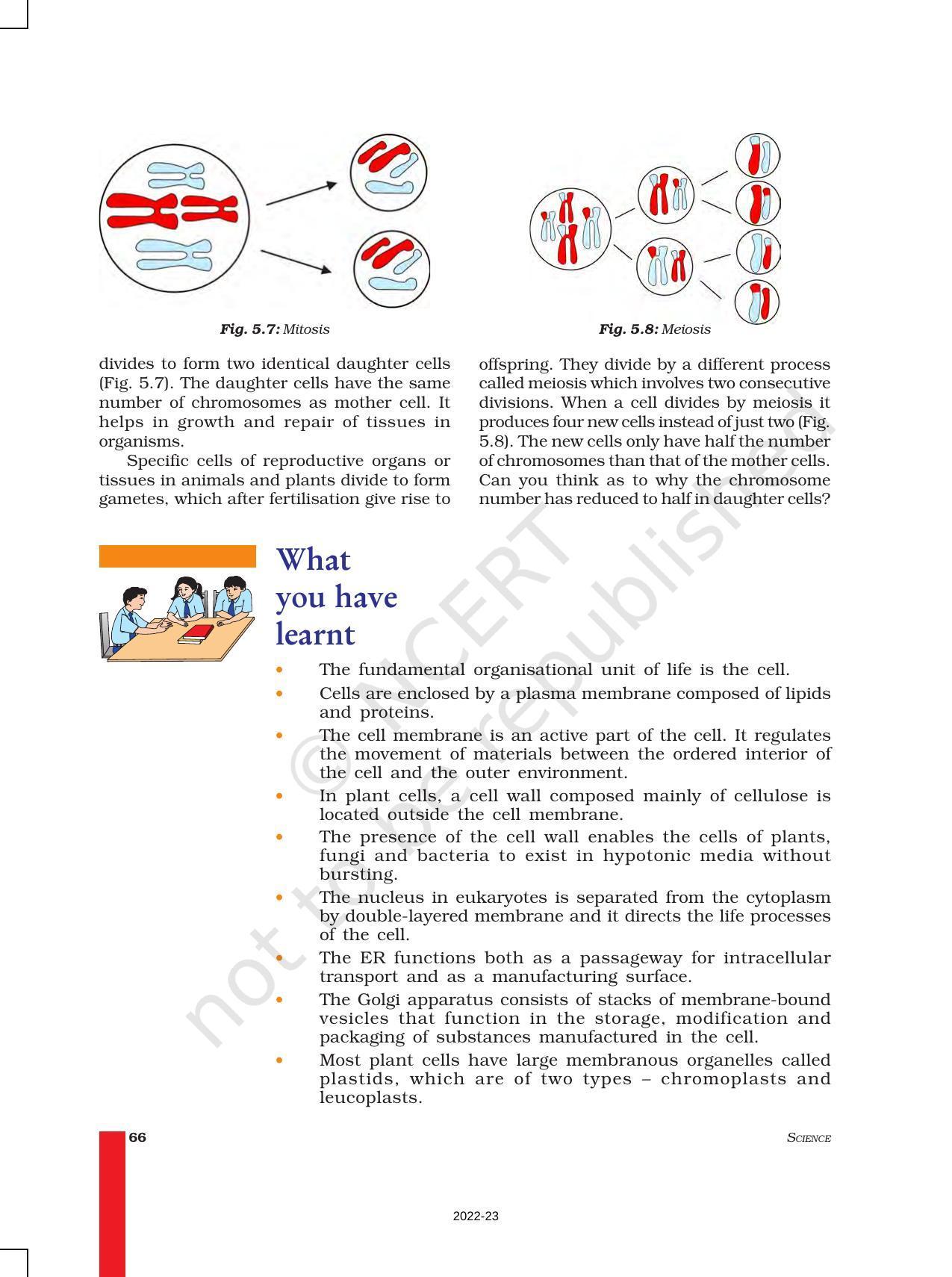 NCERT Book for Class 9 Science Chapter 5 The Fundamental Unit Of Life - Page 10