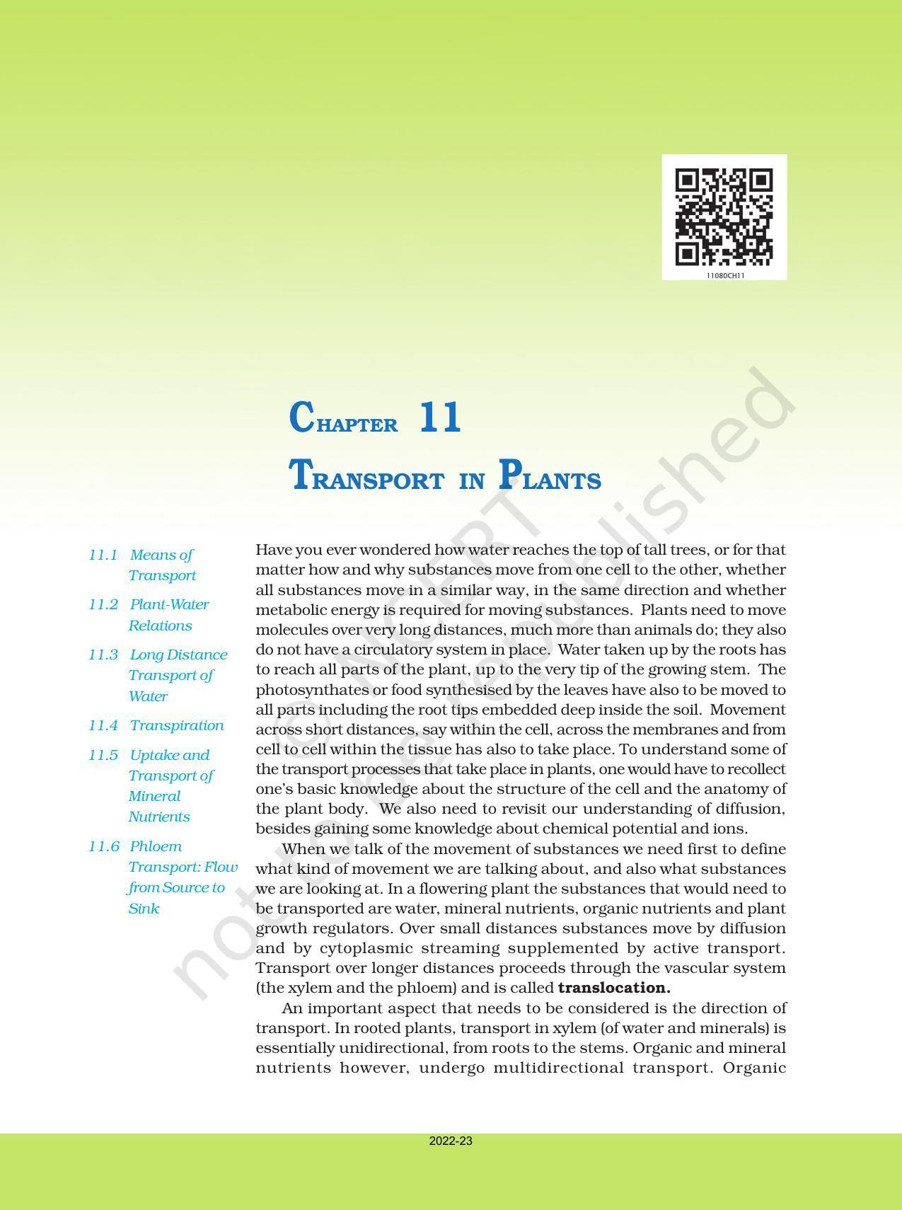NCERT Book for Class 11 Biology Chapter 11 Transport in Plants - Page 3