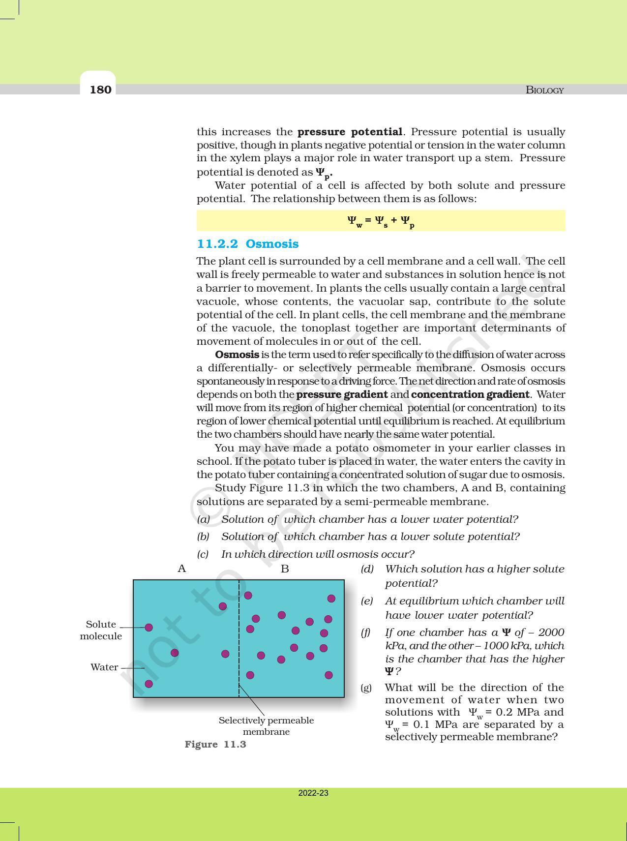 NCERT Book for Class 11 Biology Chapter 11 Transport in Plants - Page 8