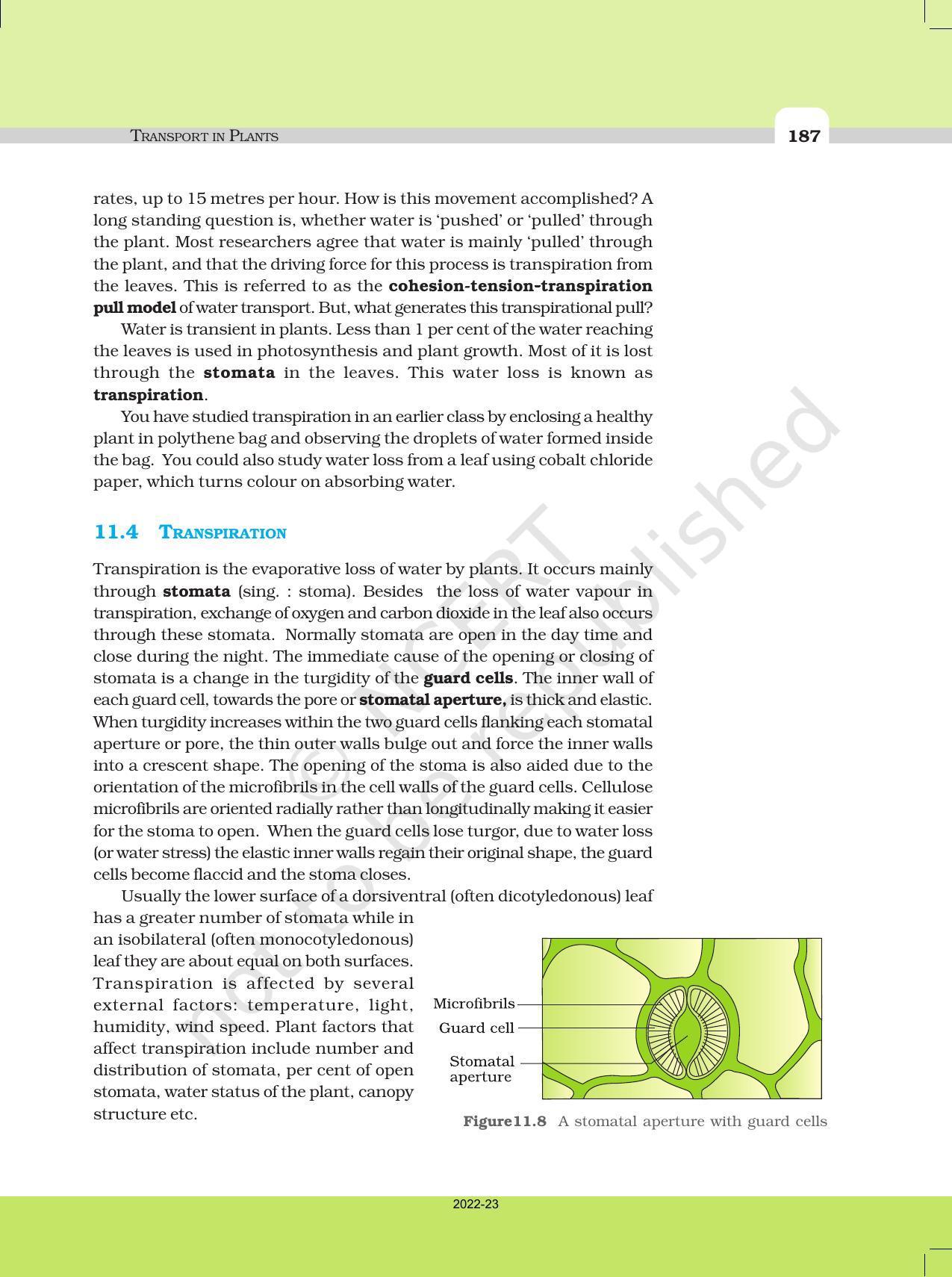 NCERT Book for Class 11 Biology Chapter 11 Transport in Plants - Page 15