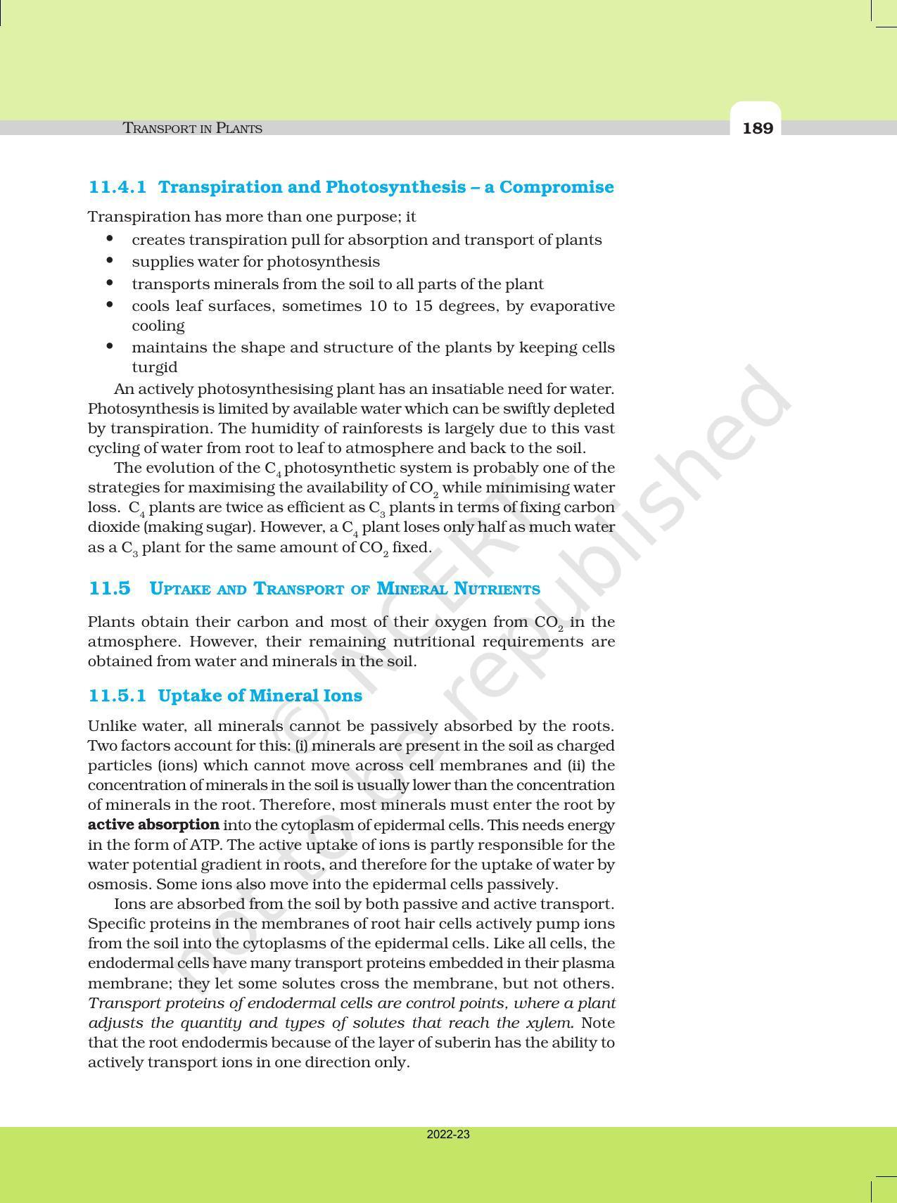 NCERT Book for Class 11 Biology Chapter 11 Transport in Plants - Page 17