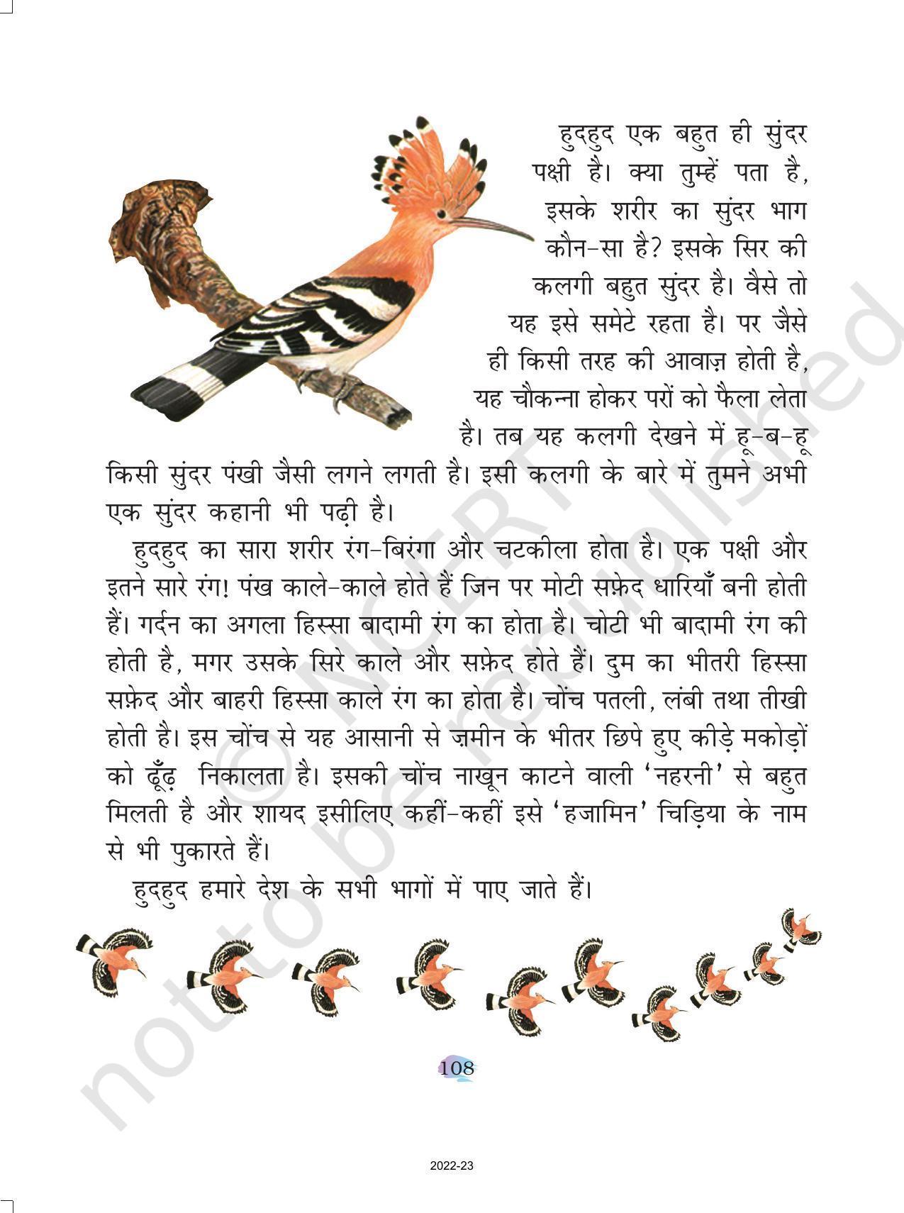 NCERT Book for Class 4 Hindi Chapter 13 हुदहुद - Page 3