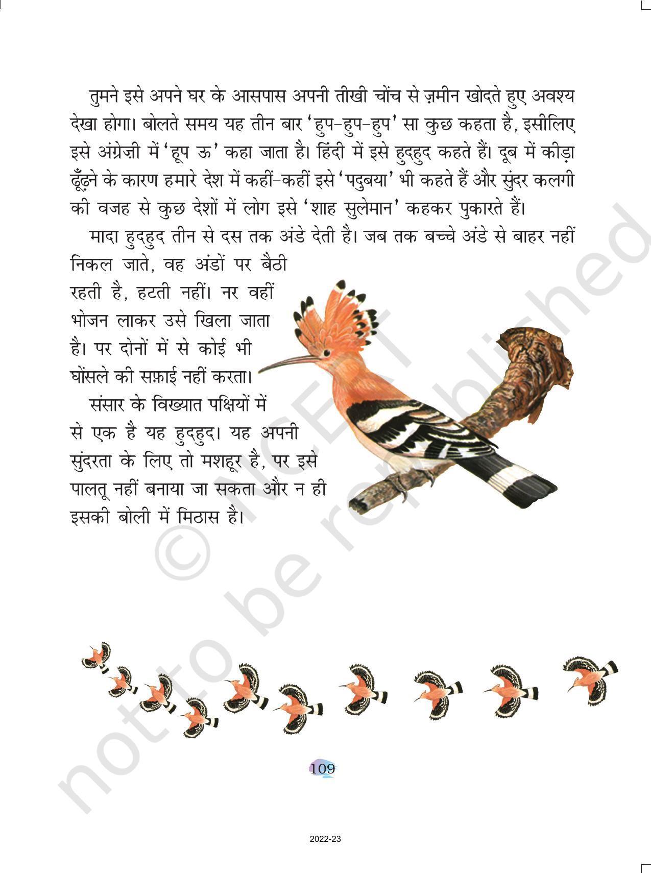 NCERT Book for Class 4 Hindi Chapter 13 हुदहुद - Page 4