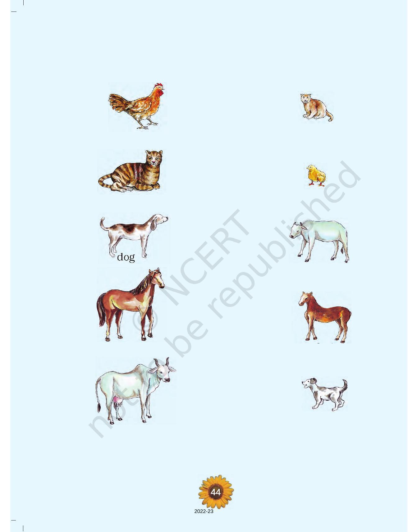 NCERT Book for Class 1 English (Raindrop):Unit 12-Cats - Page 4