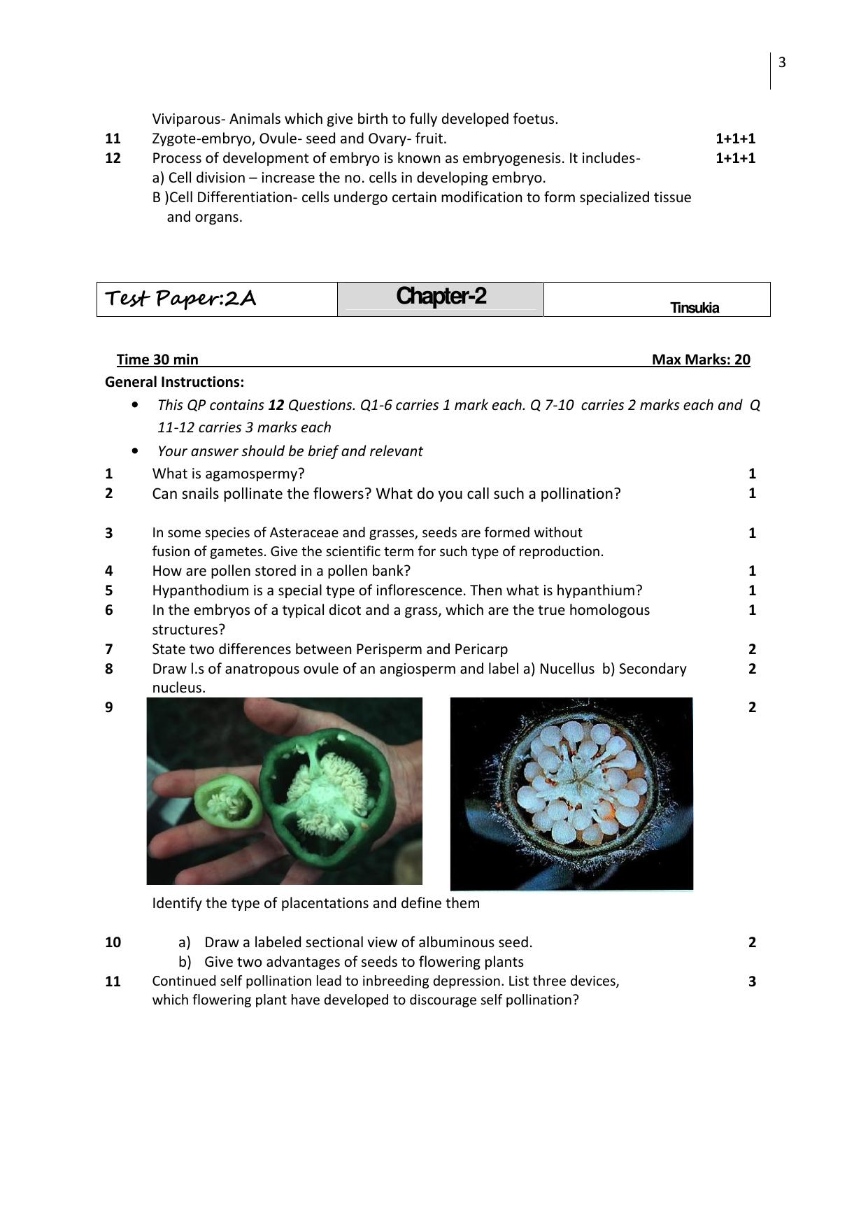 Free Printable CBSE Class 12 Biology All Chapters Worksheets - Page 3