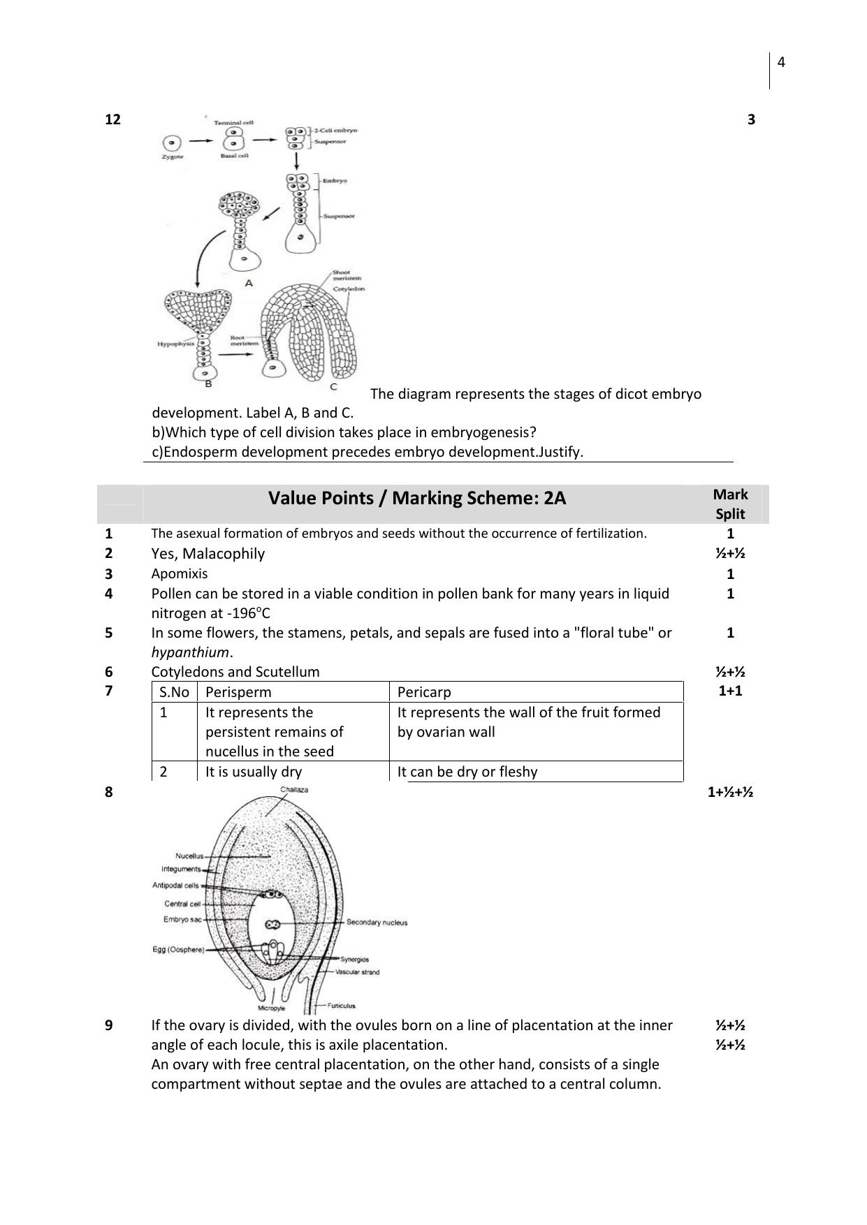 Free Printable CBSE Class 12 Biology All Chapters Worksheets - Page 4