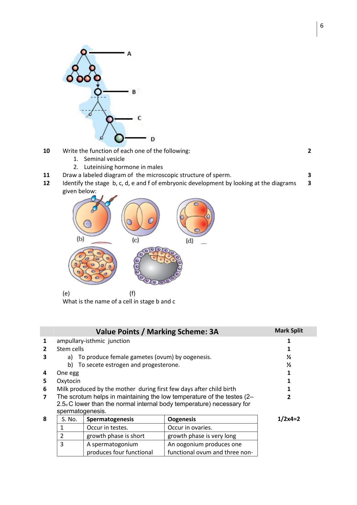 Free Printable CBSE Class 12 Biology All Chapters Worksheets - Page 6