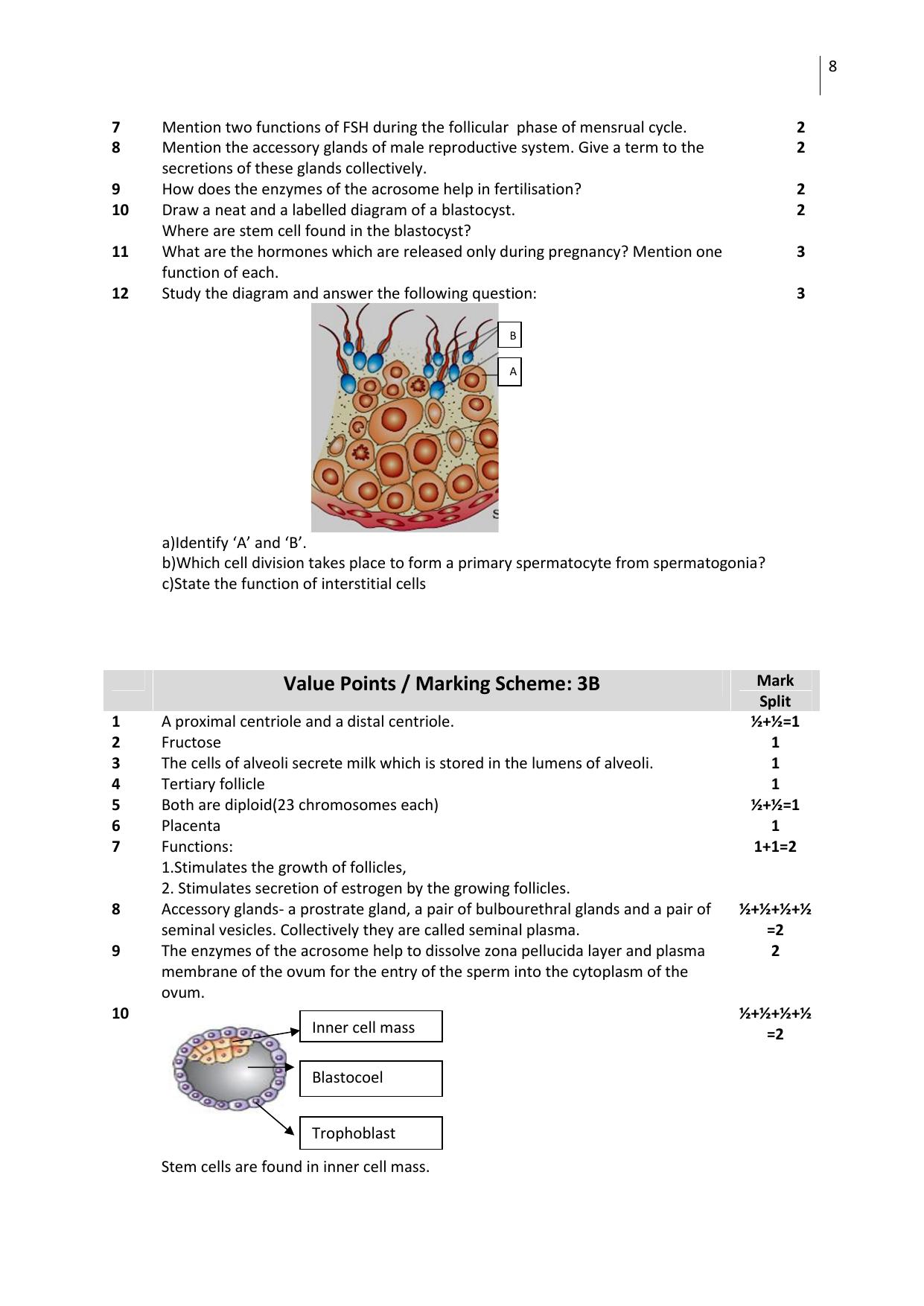 Free Printable CBSE Class 12 Biology All Chapters Worksheets - Page 8