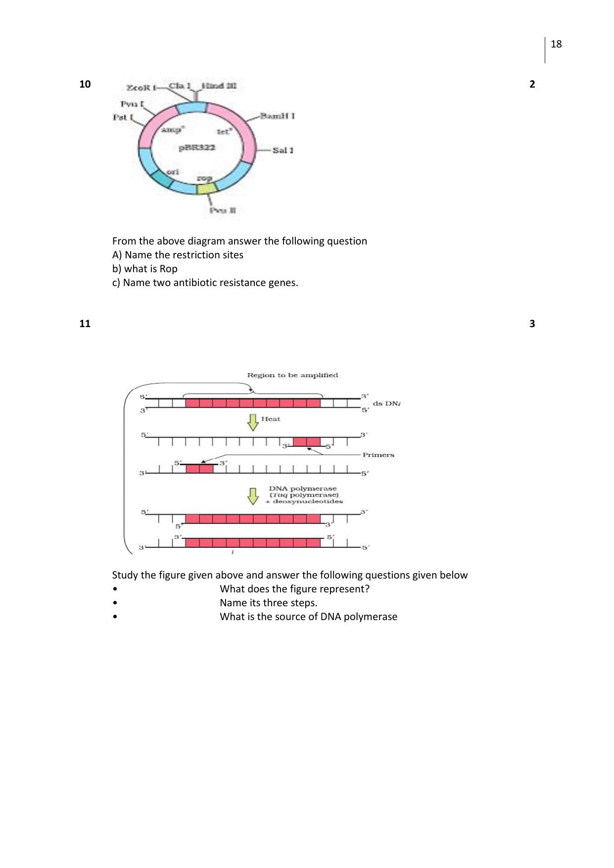 Free Printable CBSE Class 12 Biology All Chapters Worksheets - Page 18