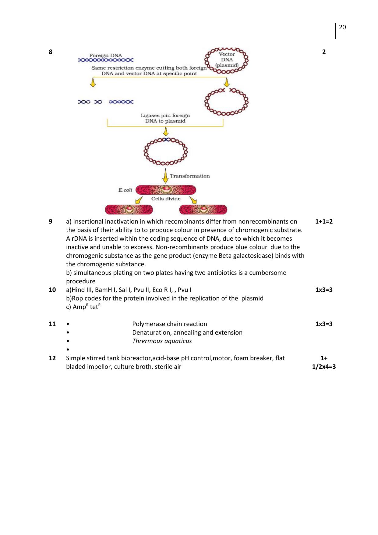 Free Printable CBSE Class 12 Biology All Chapters Worksheets - Page 20