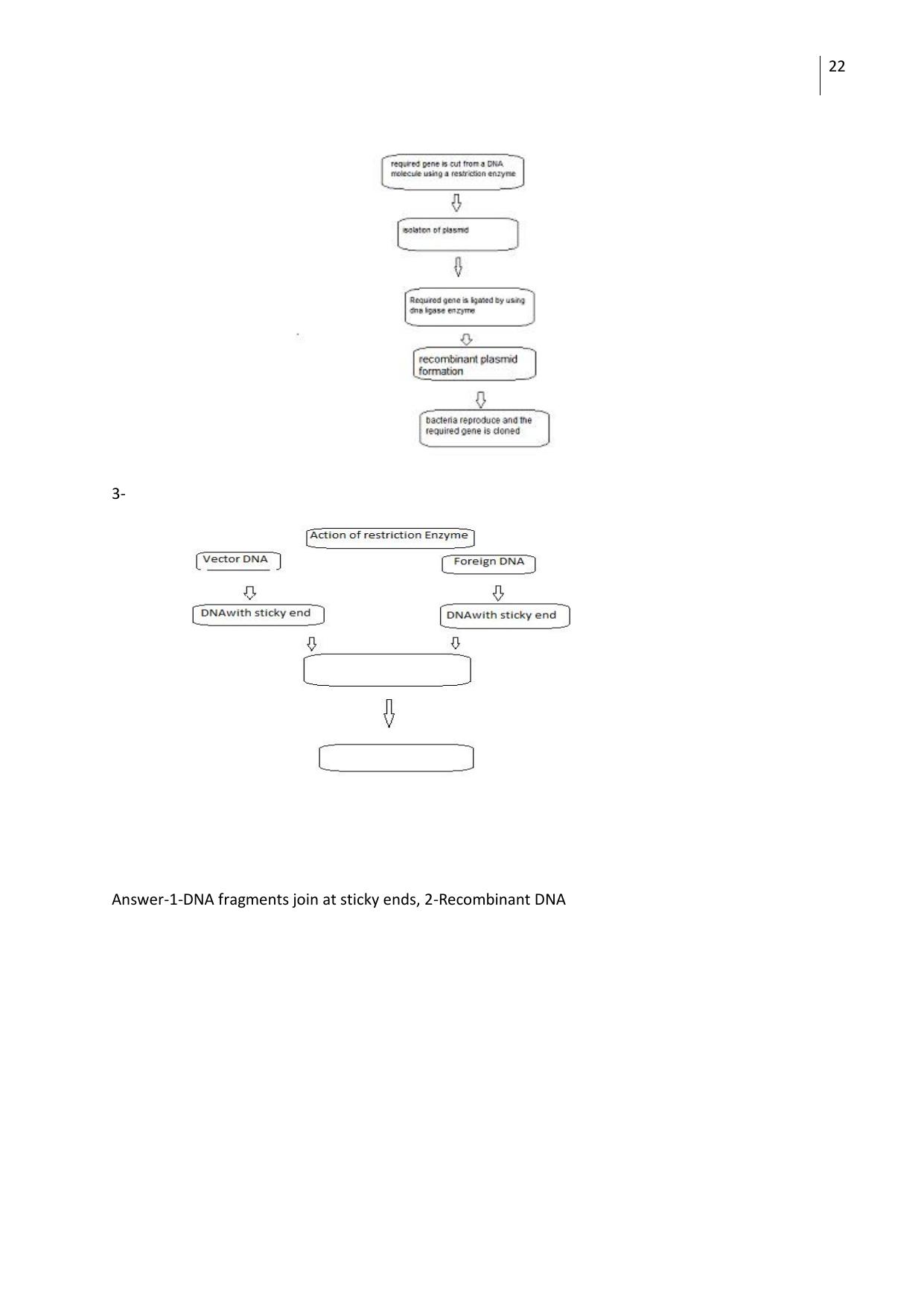 Free Printable CBSE Class 12 Biology All Chapters Worksheets - Page 22